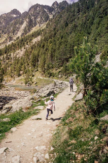 Children hike up a mountain trail surrounded by nature.