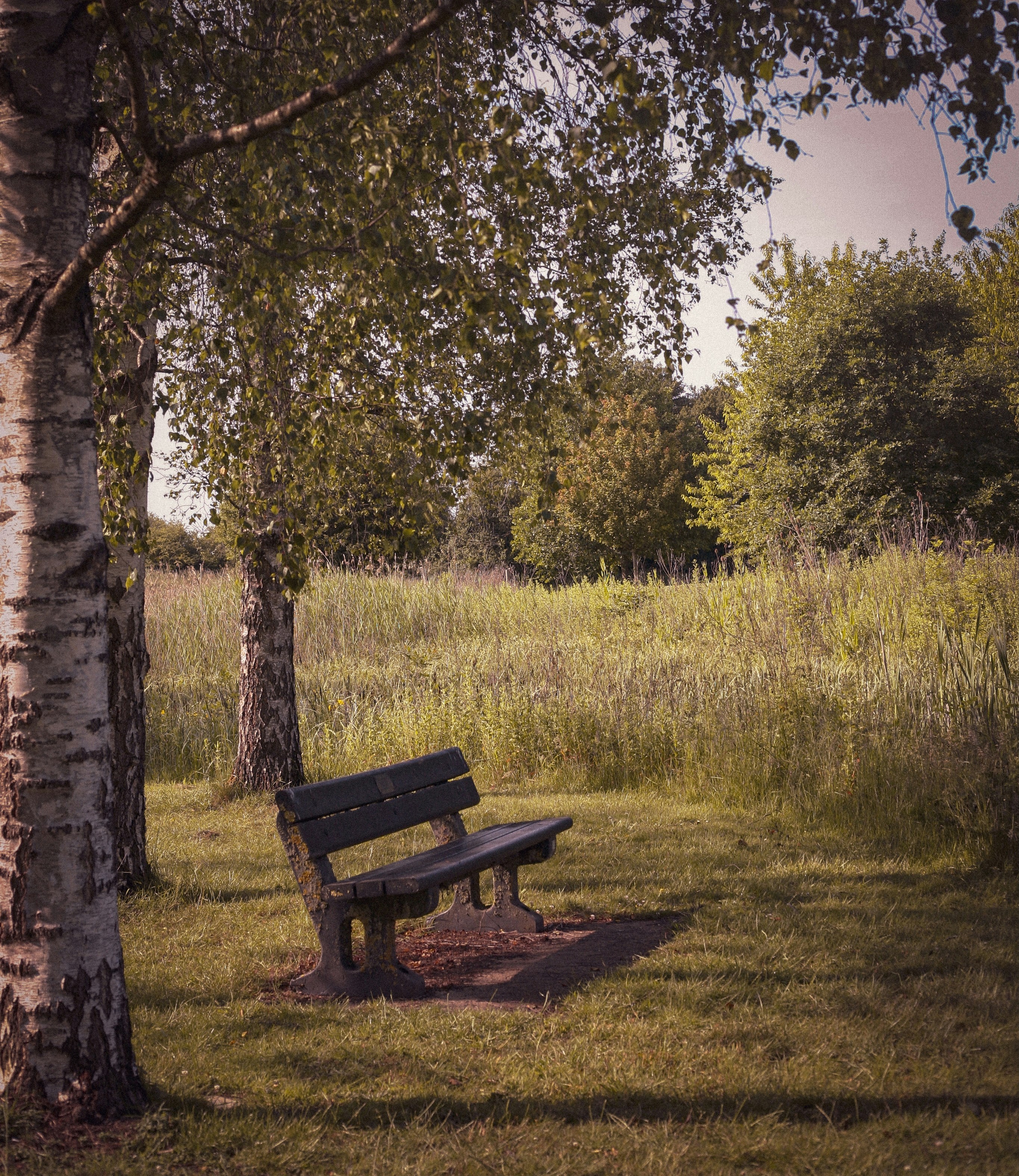 Photo by humansmadethis