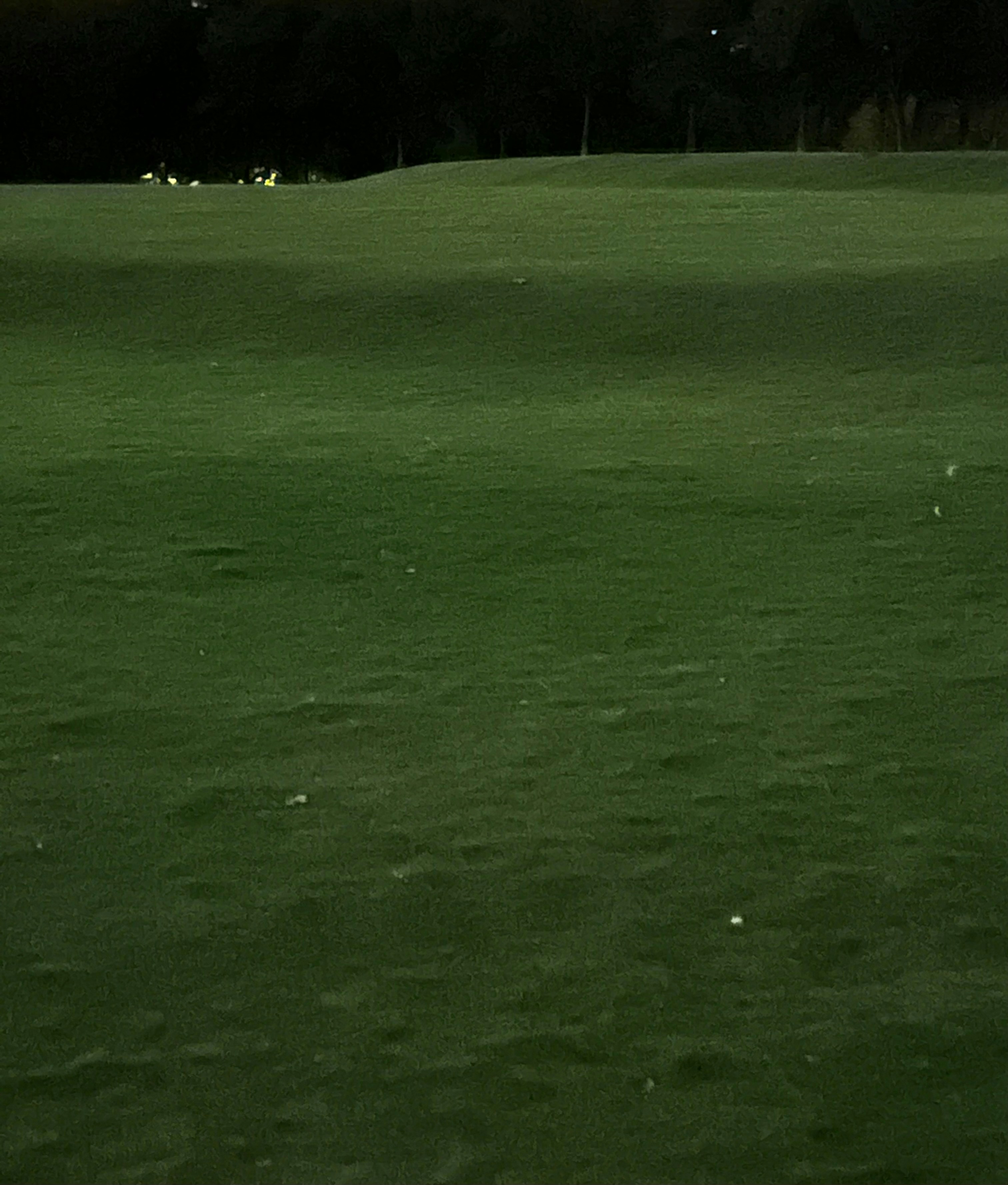A dark green field at nighttime.