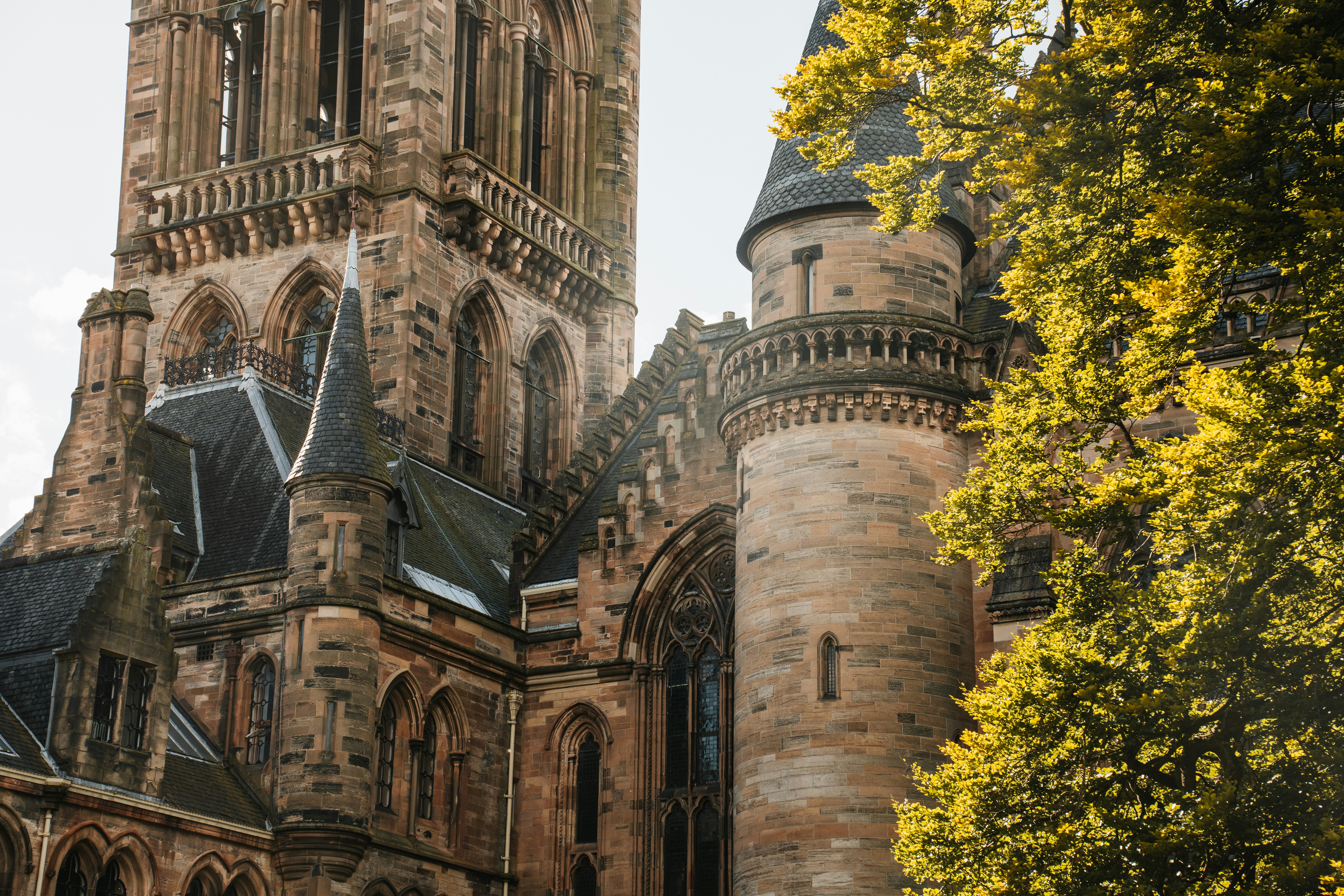 A majestic stone building is framed by a tree.