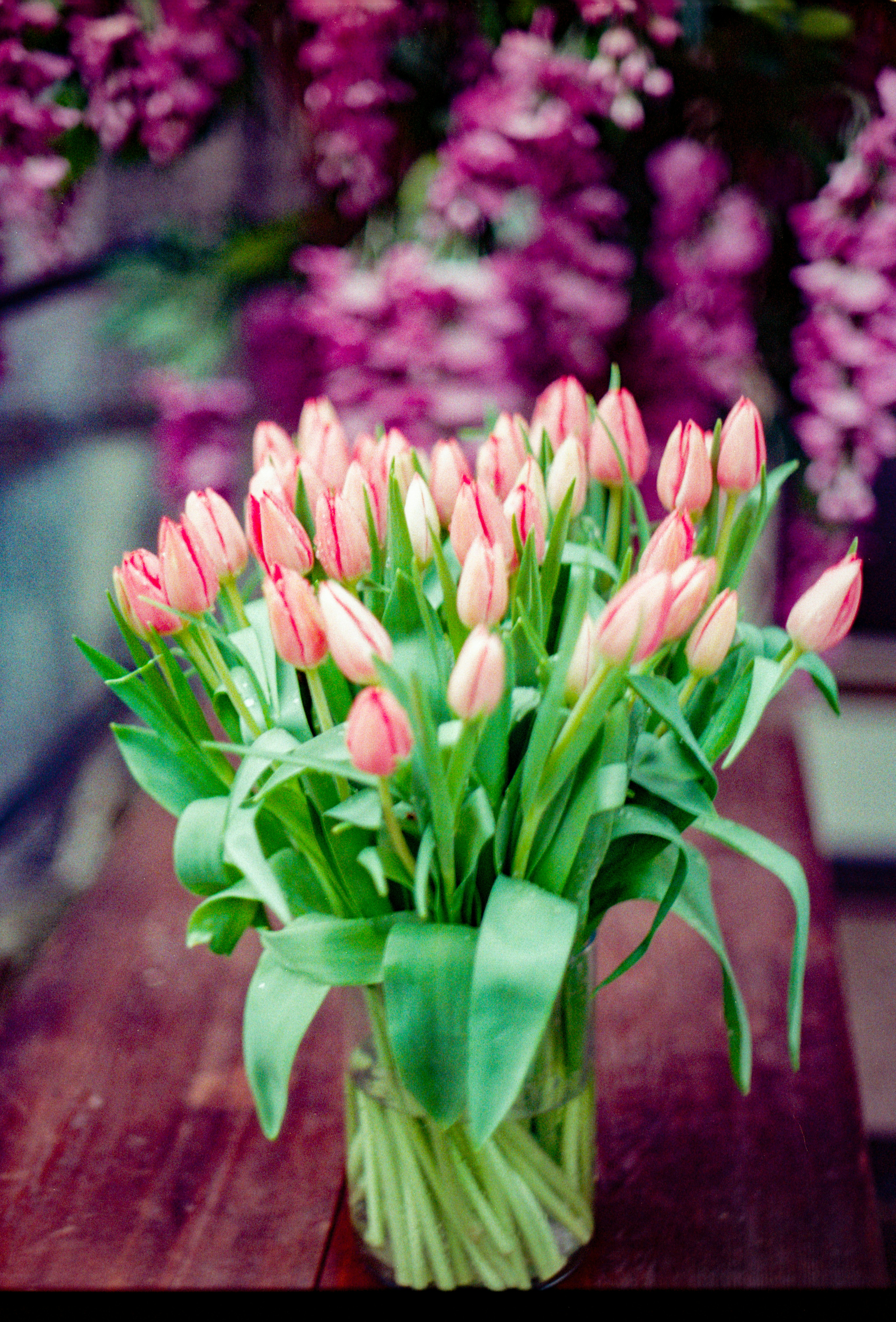 Rosa Tulpen und lila Blüten sind ein wunderschönes Bild.