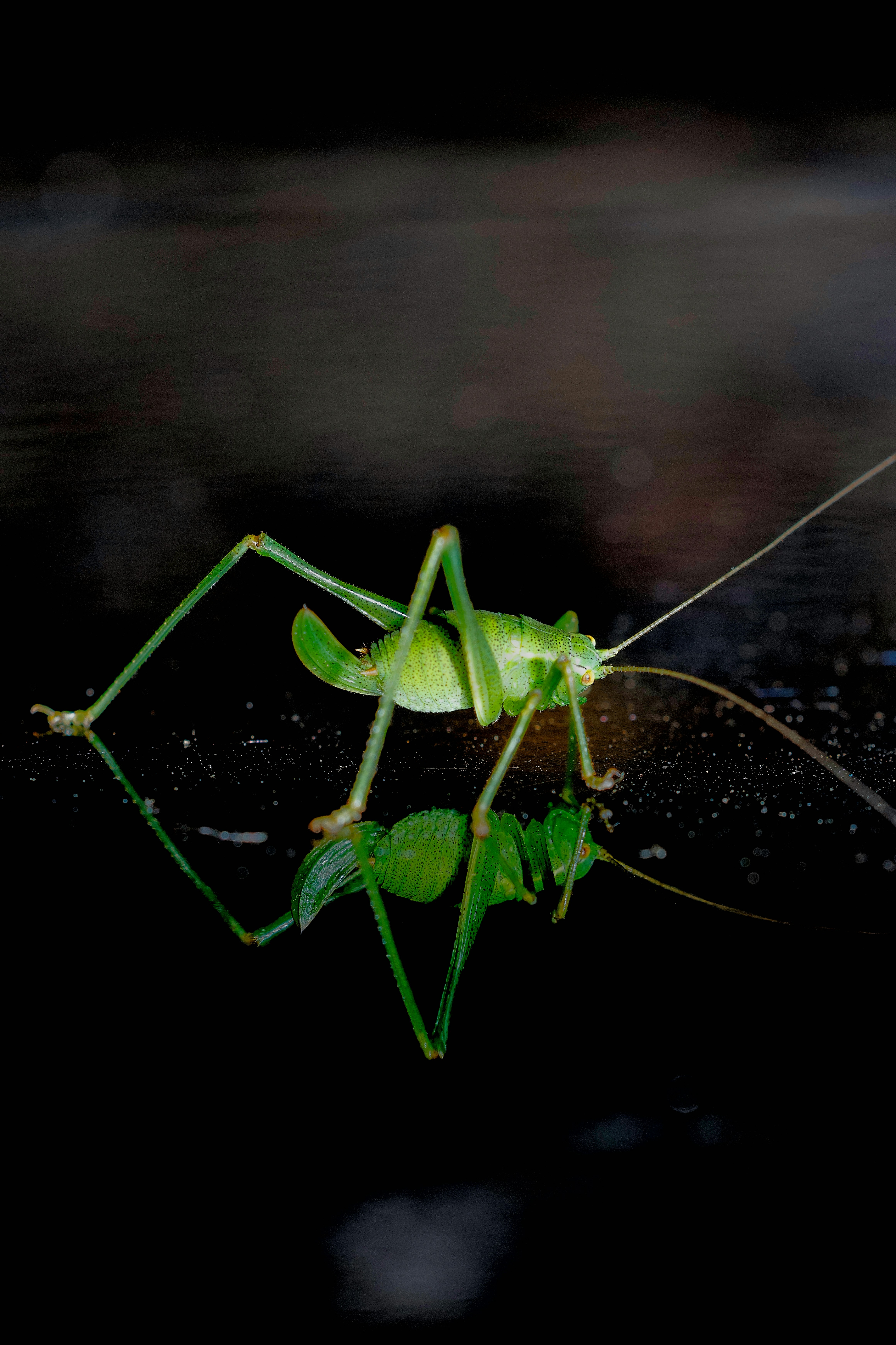 Photo by grievek1610begur