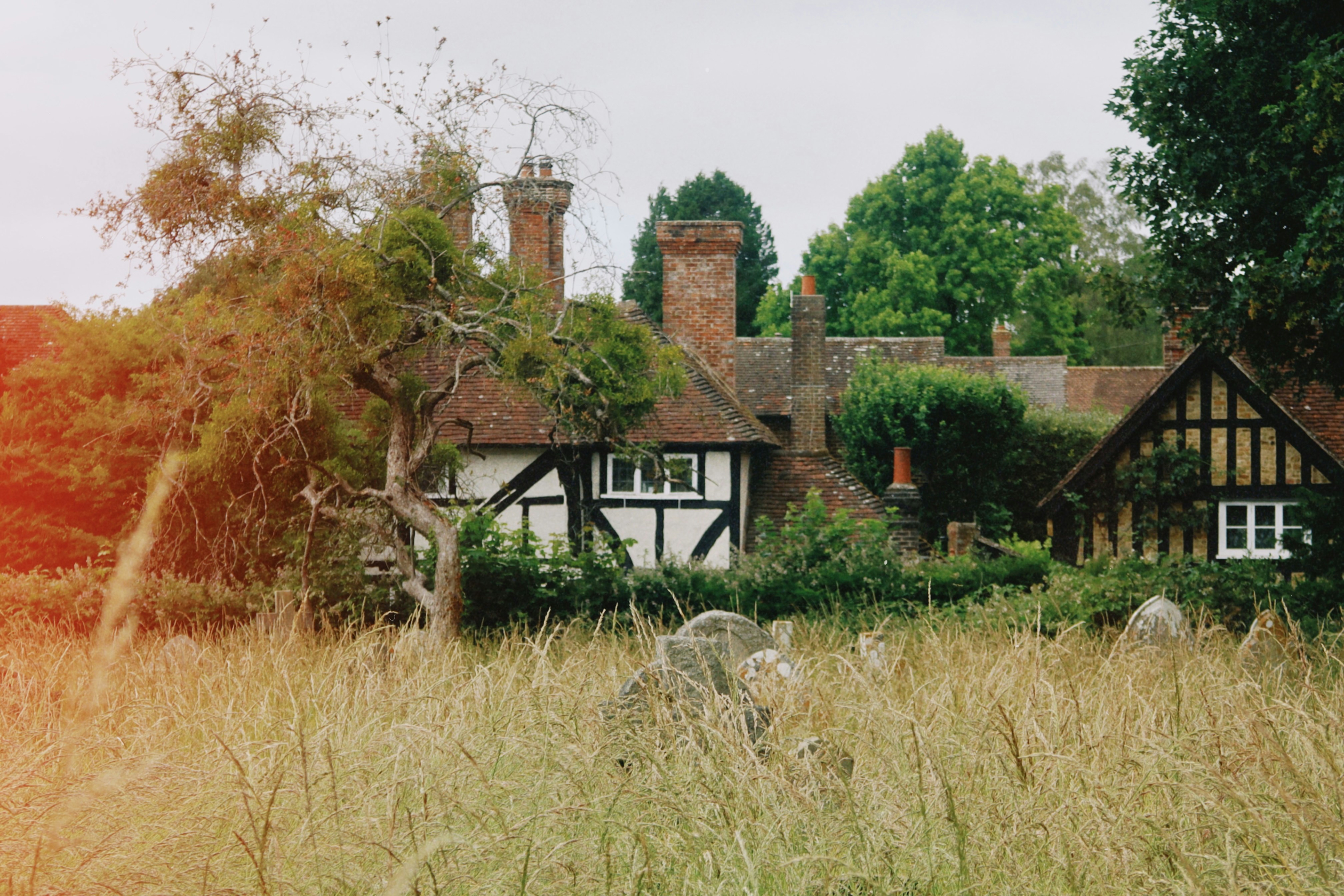 Photo by tanyabarrow