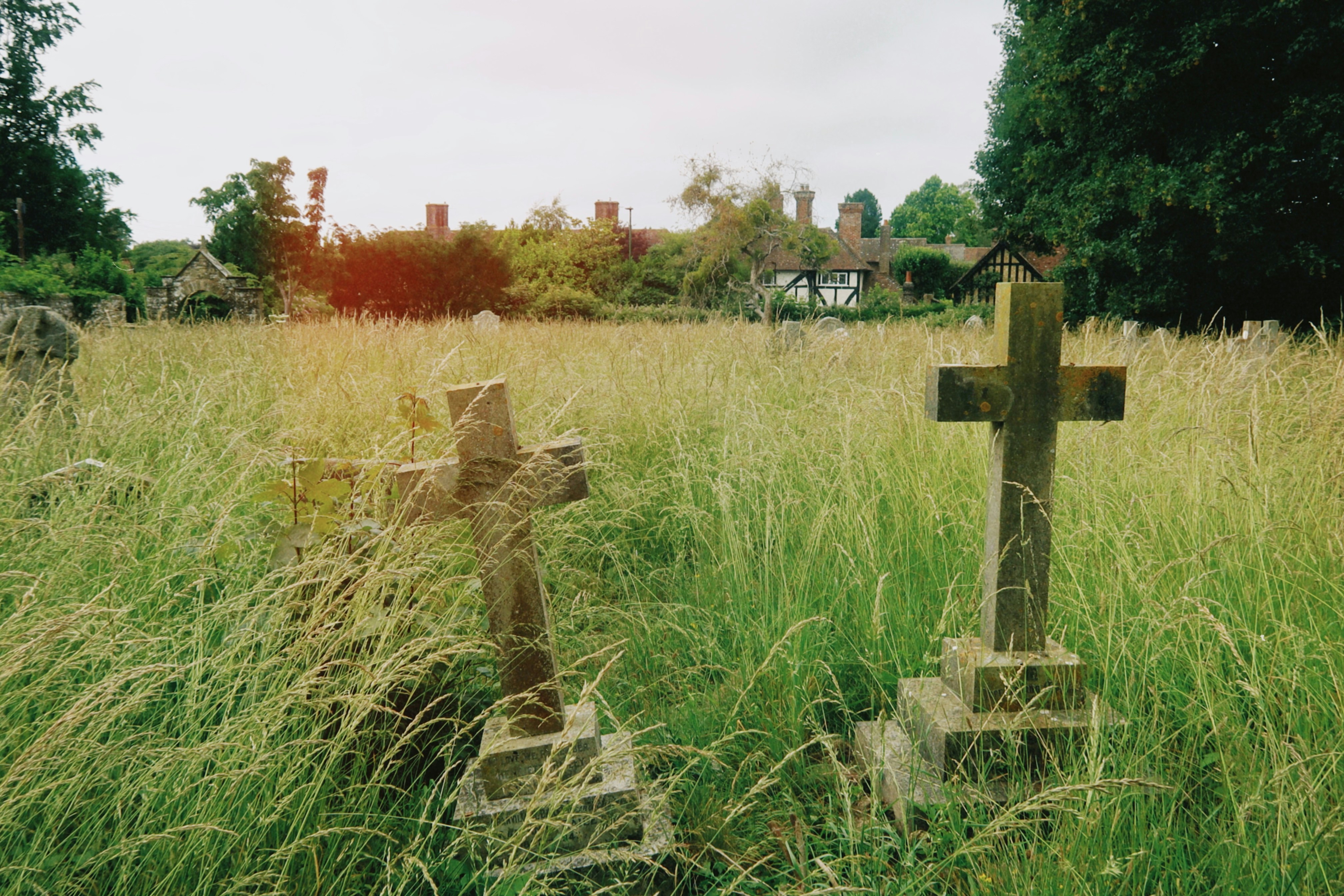 Photo by tanyabarrow