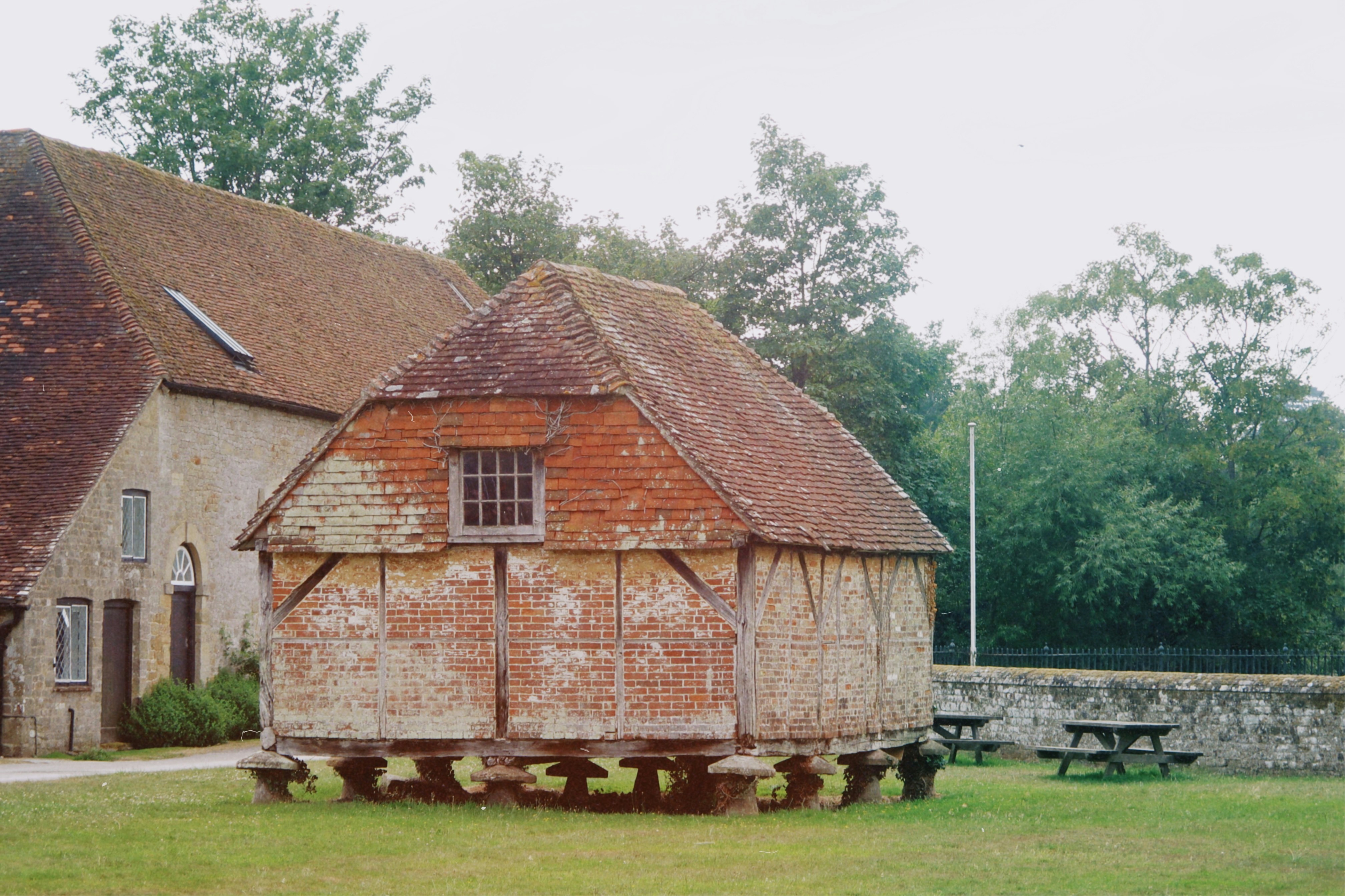 rustic barn wedding, nature, ilustrasi artikel Freshly Wed: Delicious Farm-to-Table Catering Ideas for Your Big Day 7