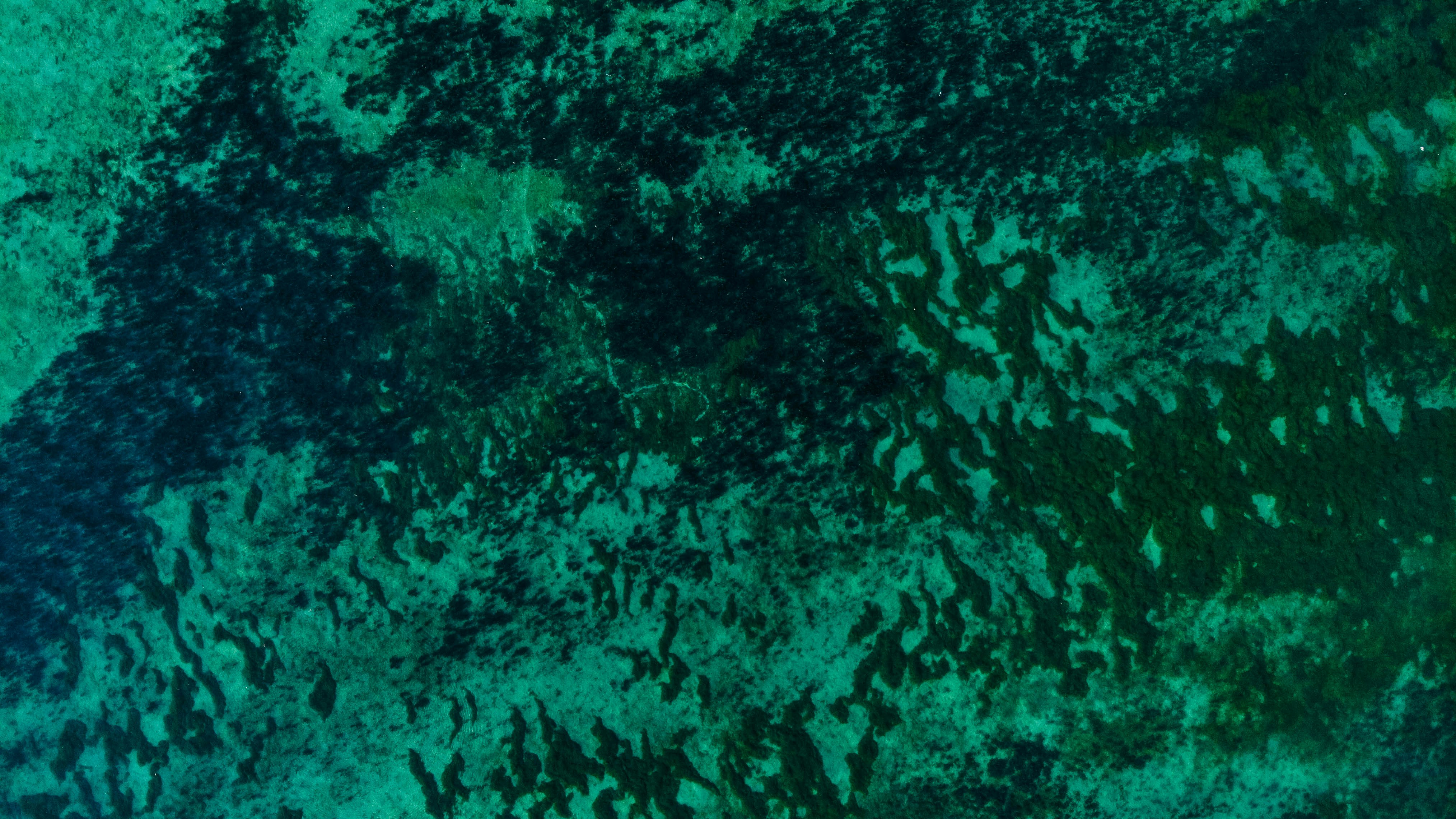 Photo by _miltiadis_