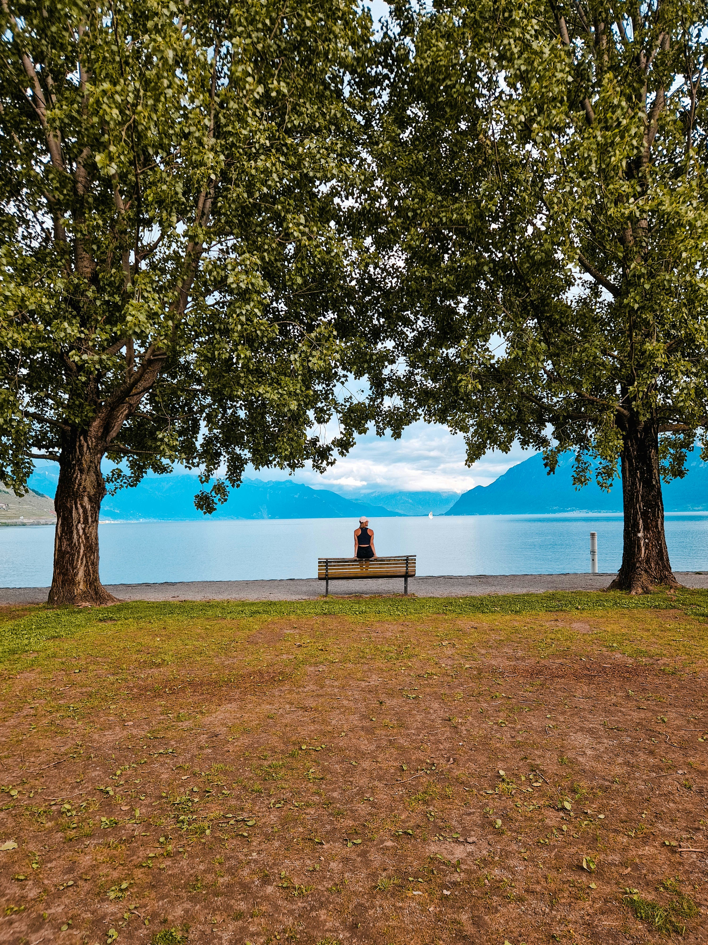 Person sits on a bench, overlooking a lake.