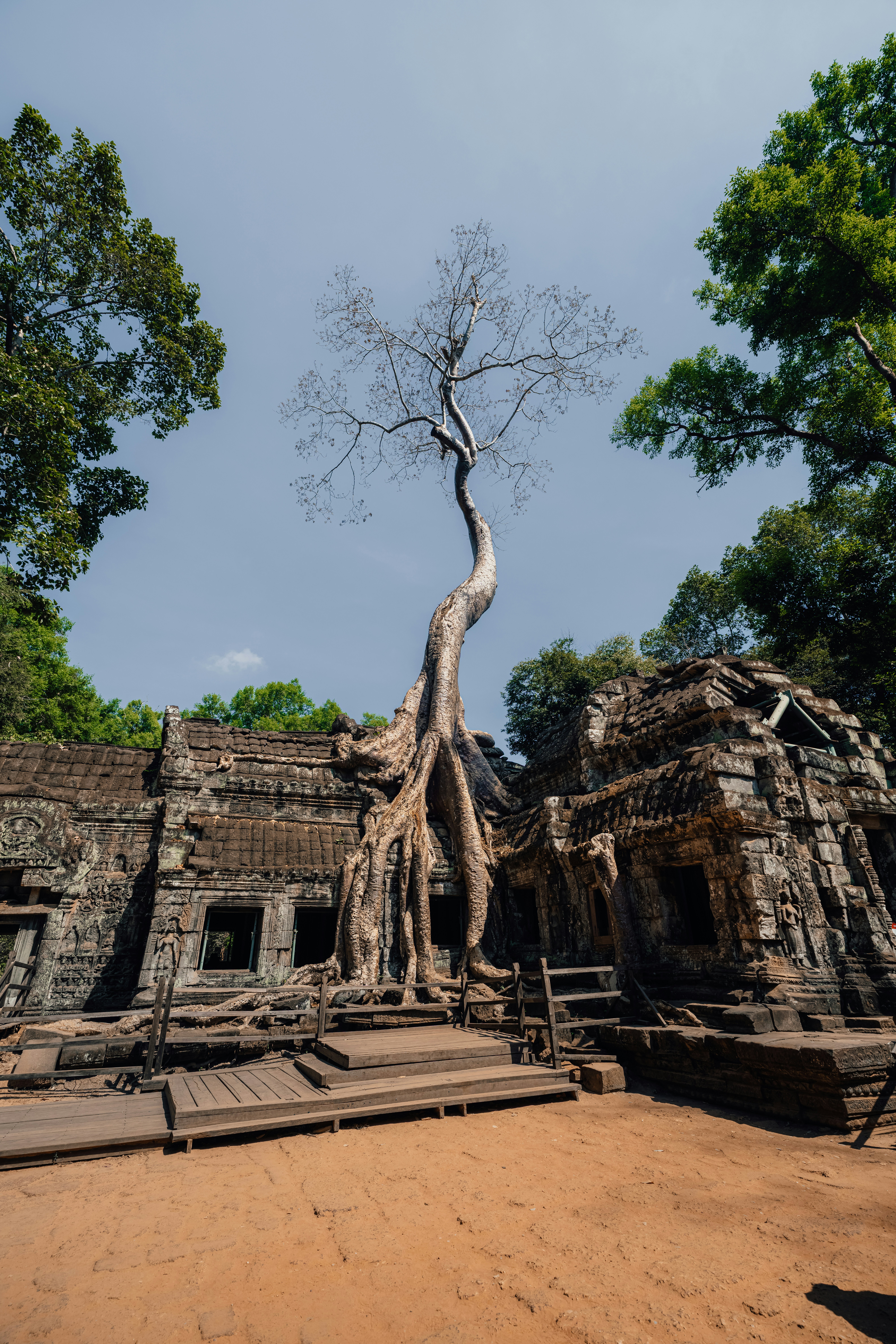 Photo by limamauro23