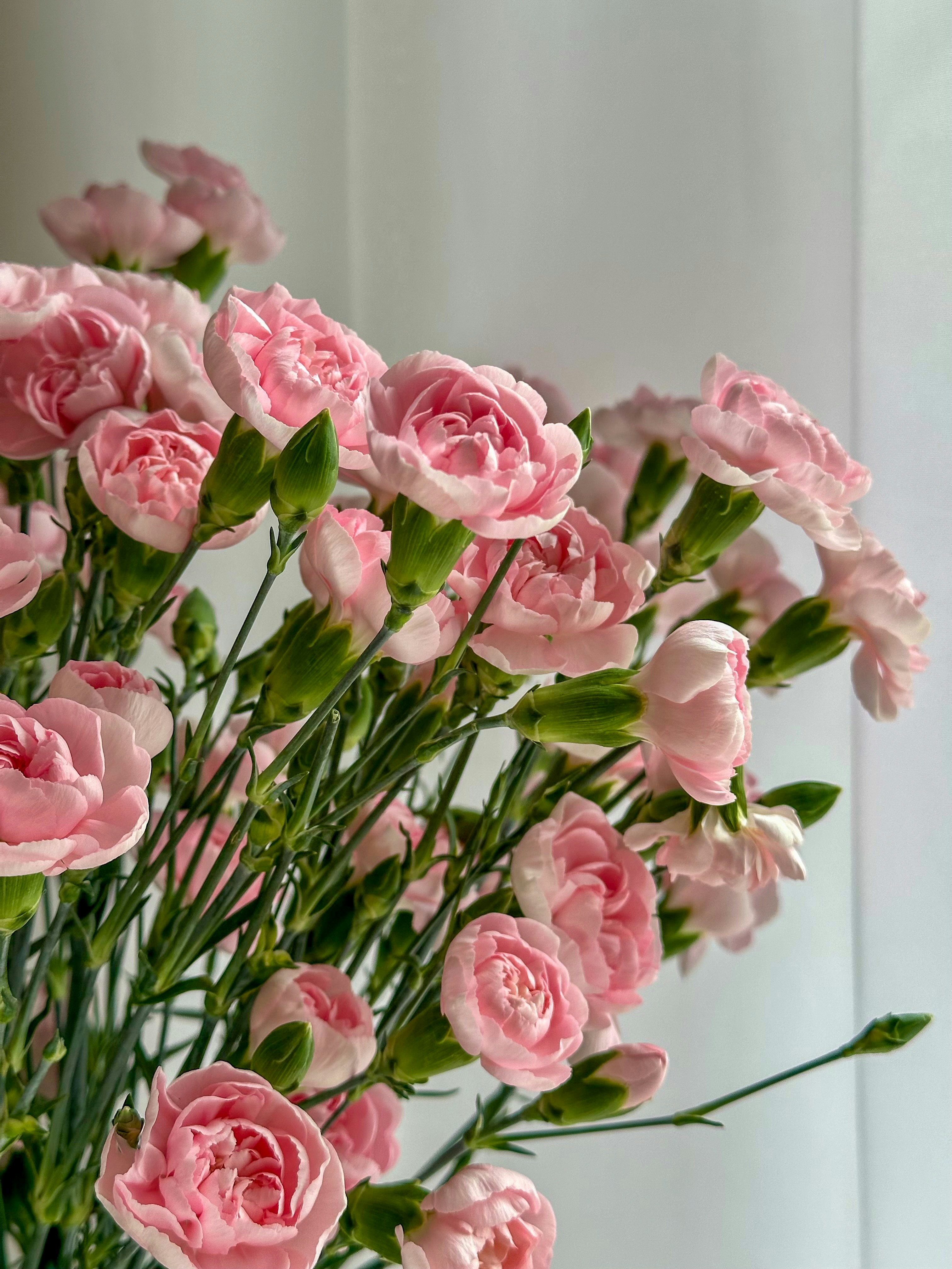 Photo by bonnieraynott