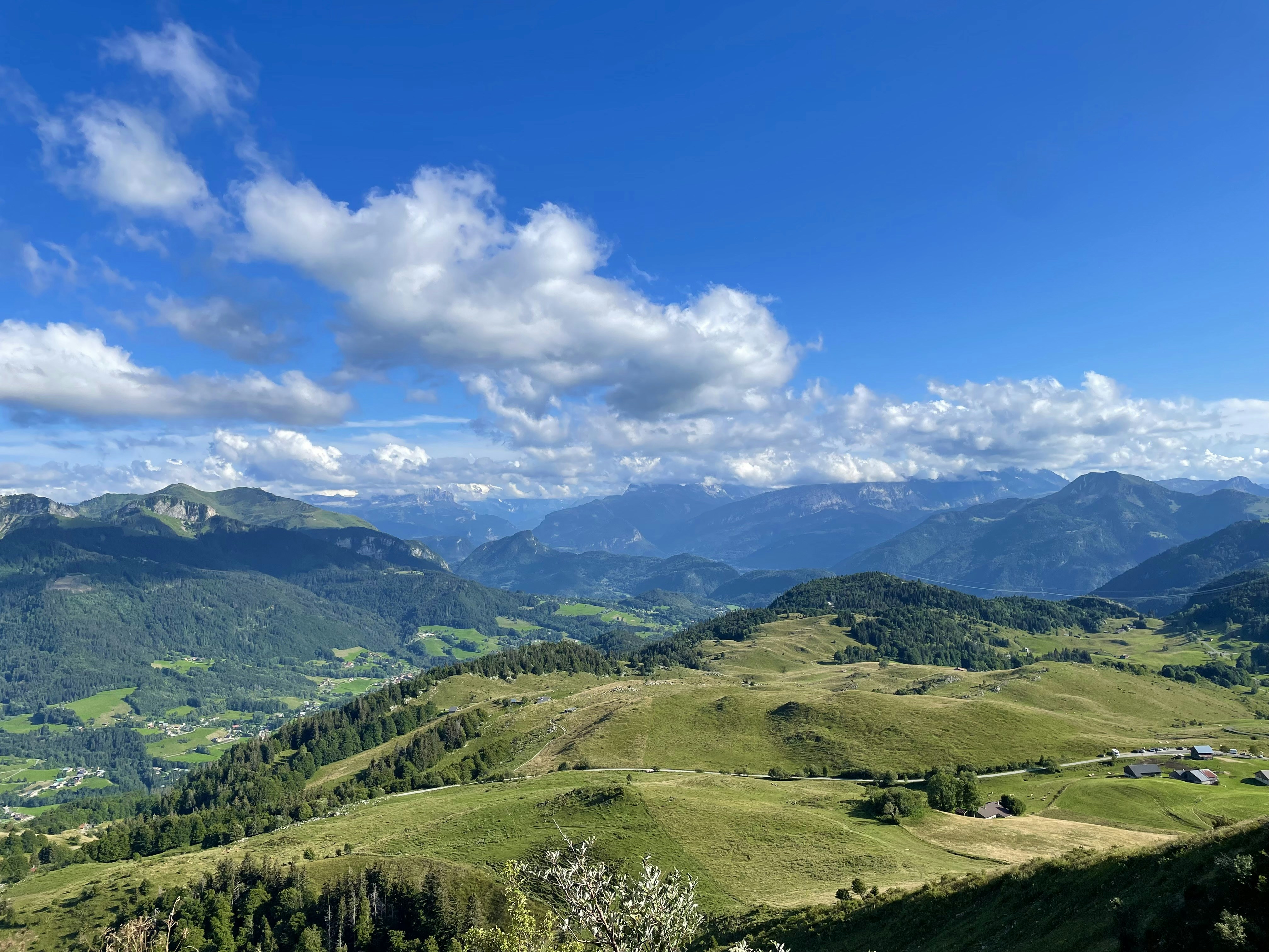 Photo by teddycharti