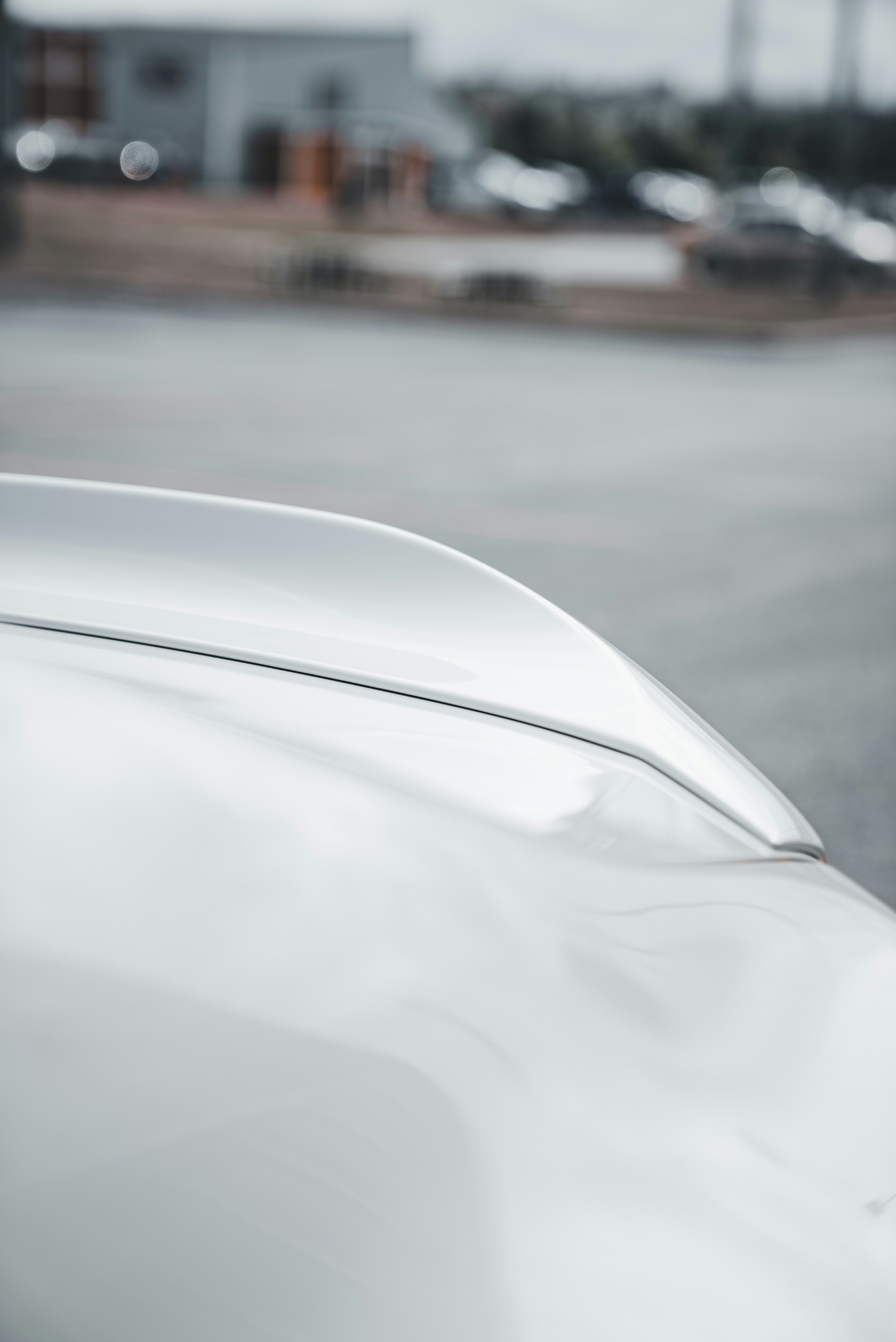 A white car's hood and spoiler are shown.
