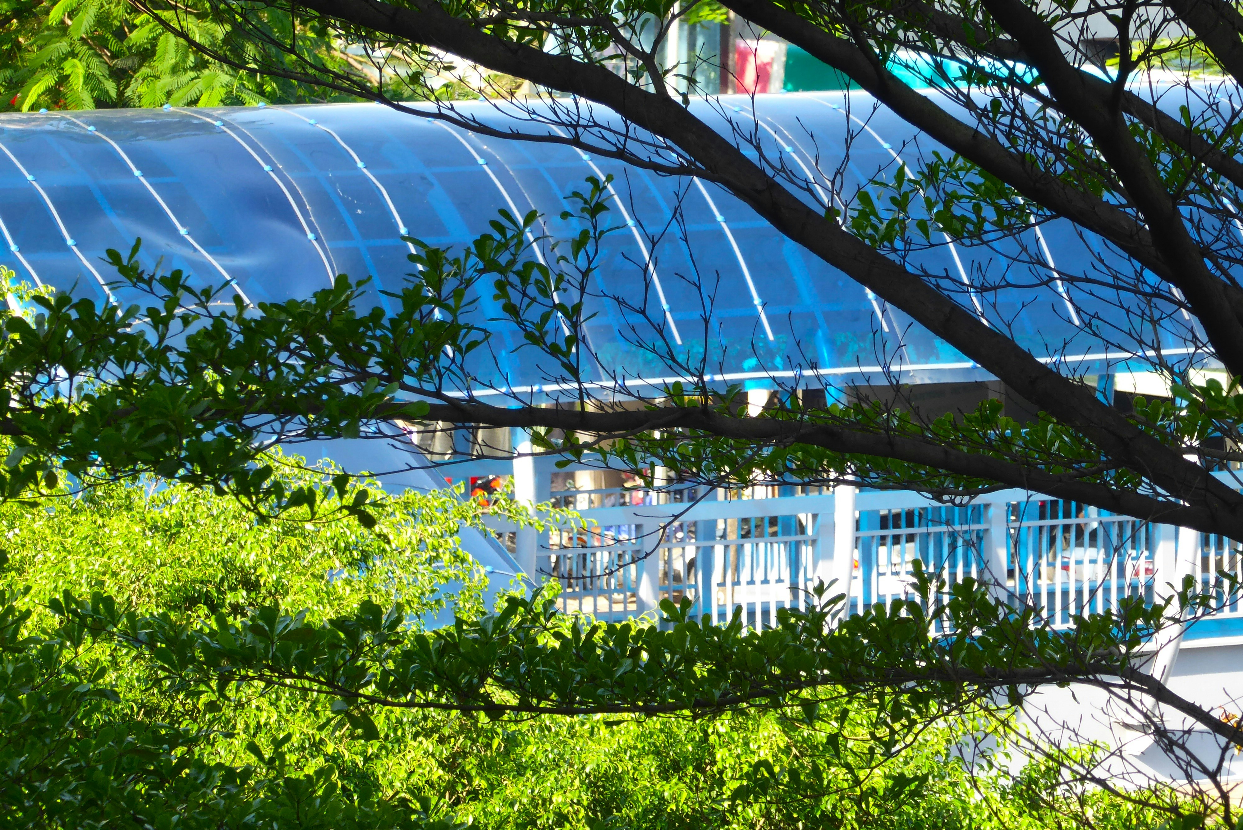 A blue roof seen through green leaves.