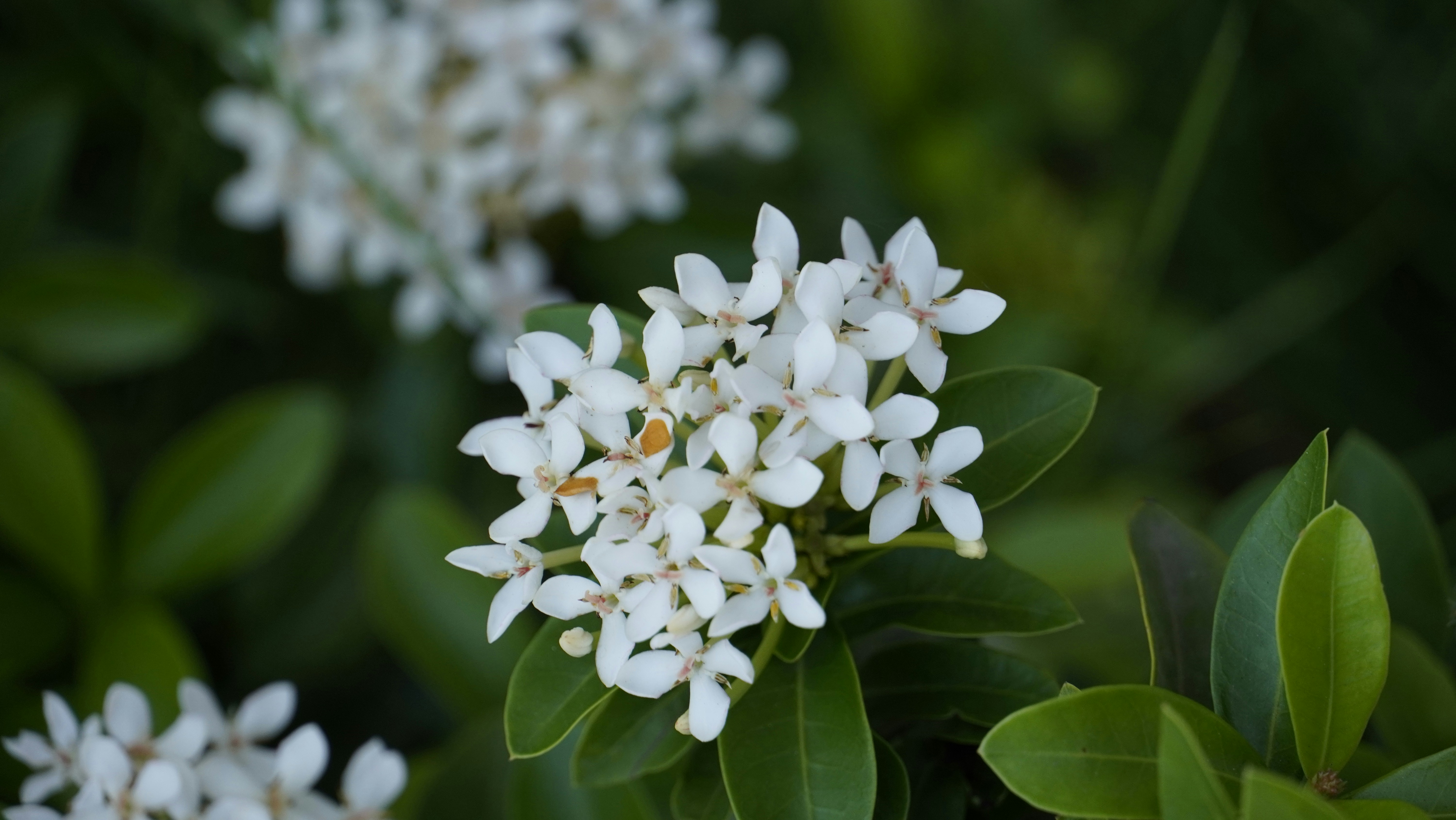 Photo by manjunath_yalam