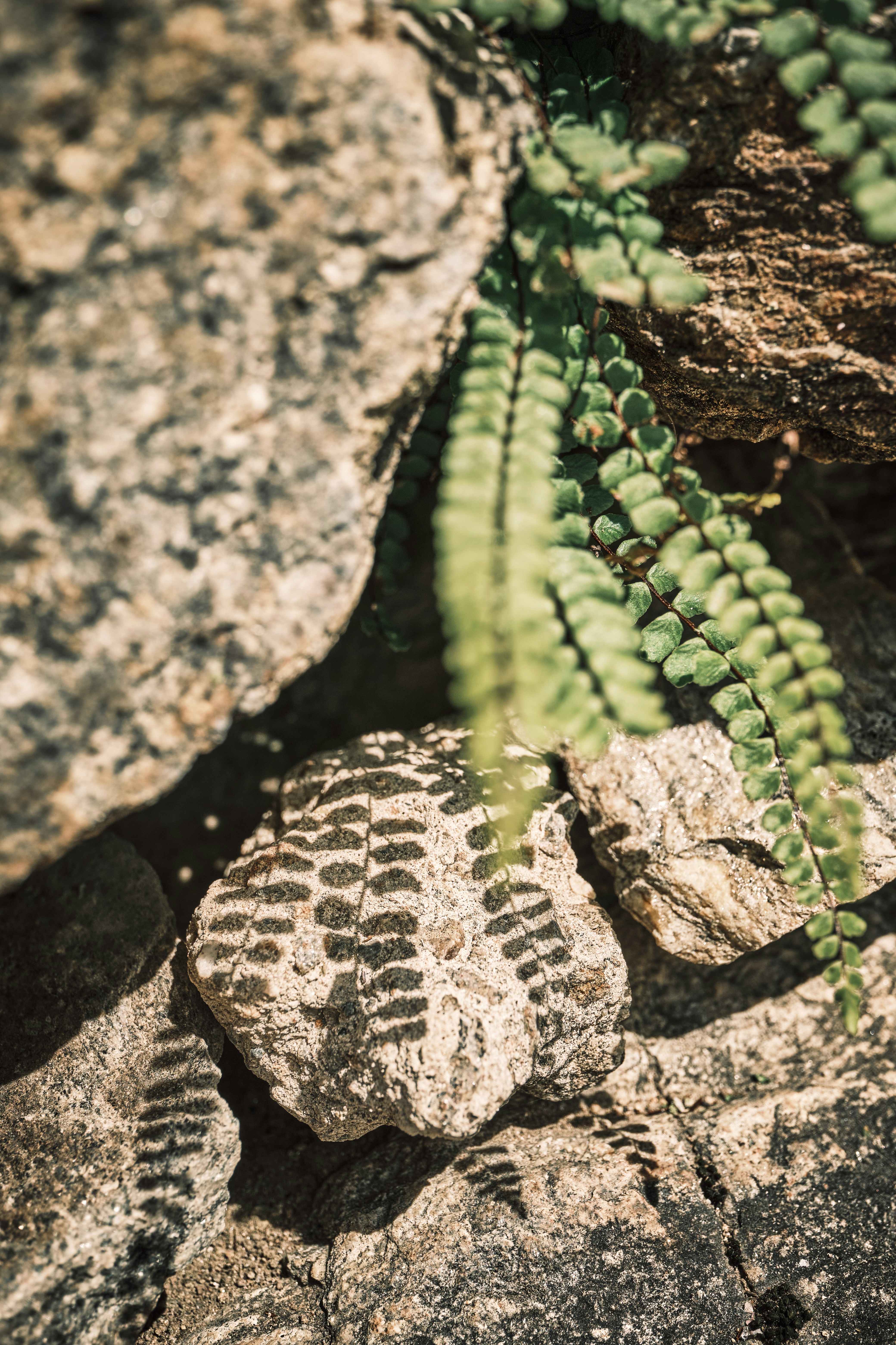 Photo by marcus_ganahl