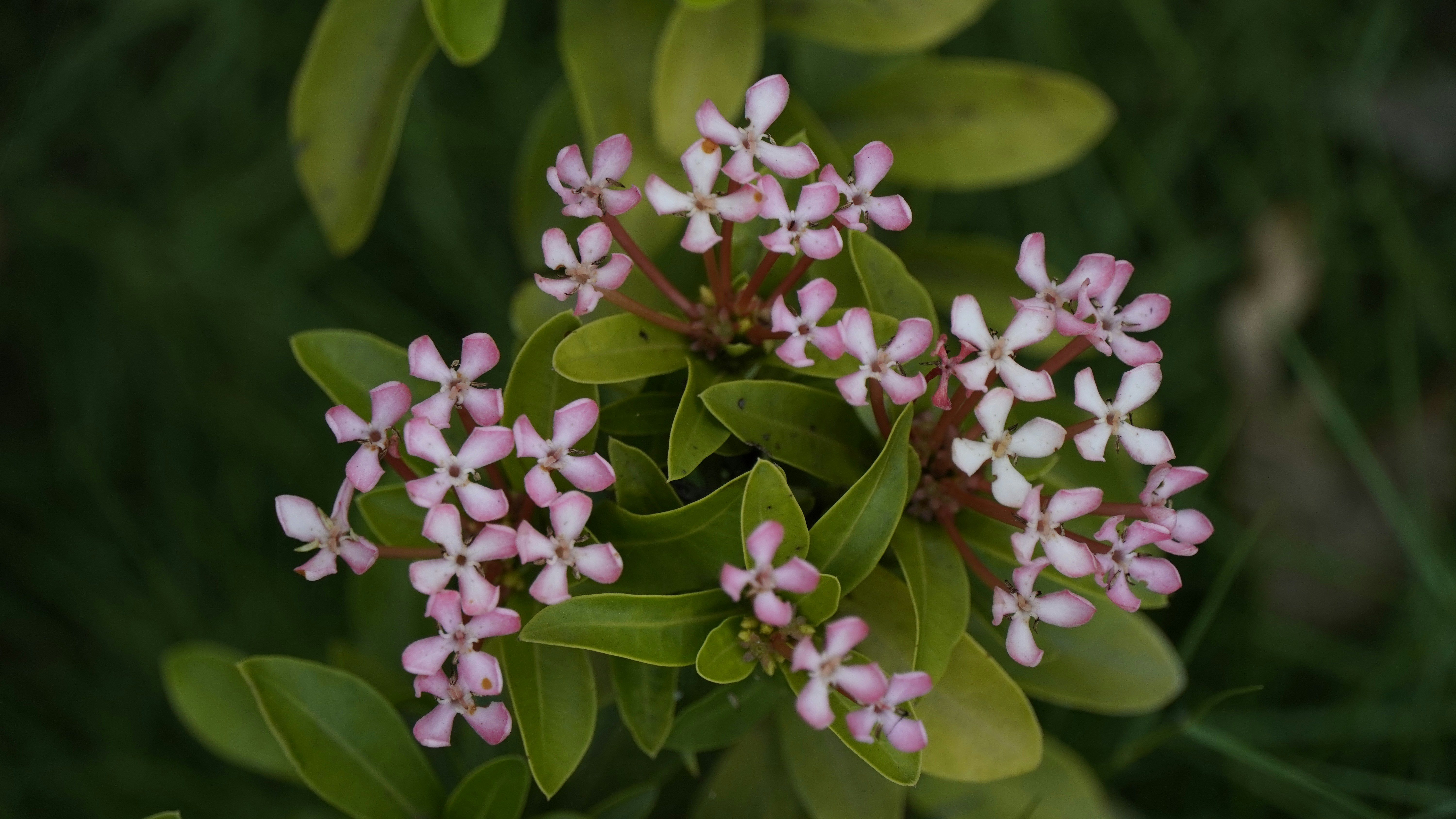 Photo by manjunath_yalam