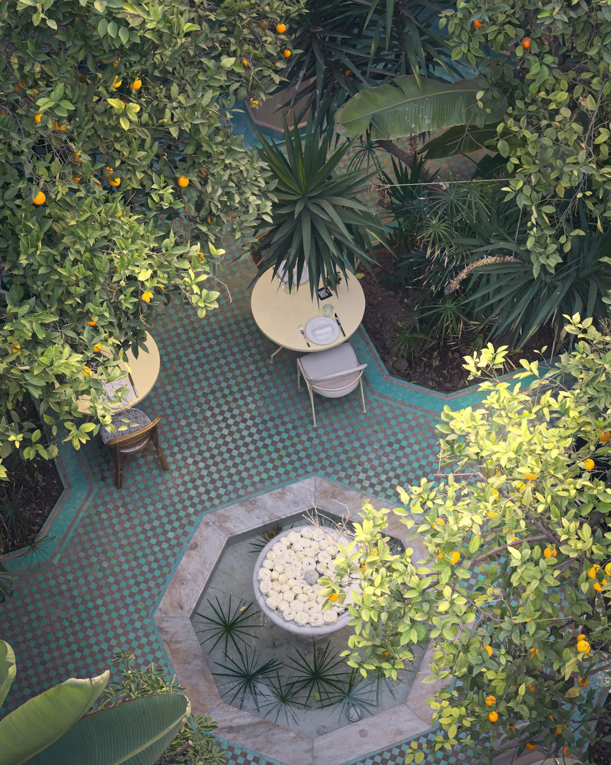 Courtyard tables beneath fruit trees. Illustrative editorial image, not a photograph of Desert Pearl Pavilion.