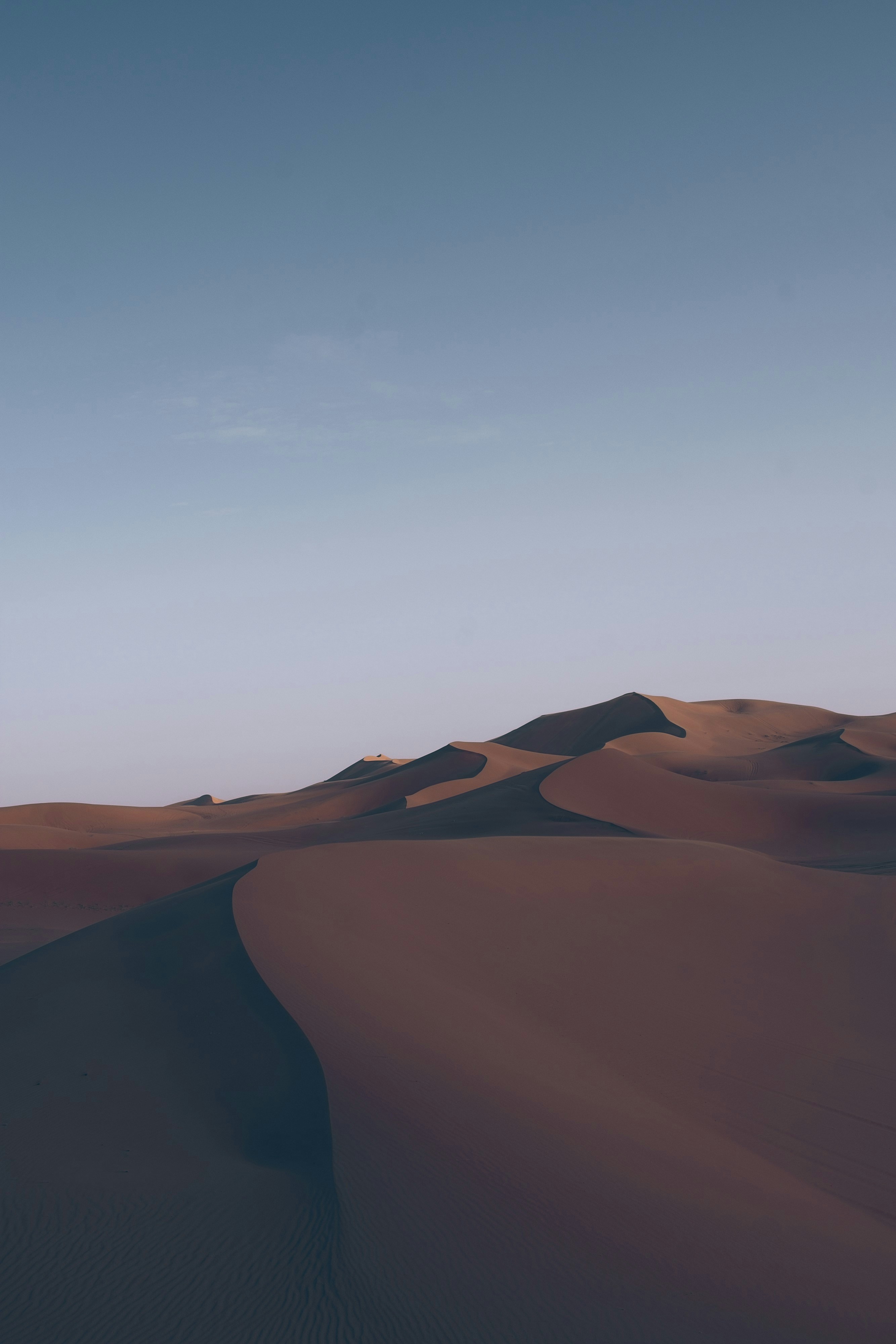 Desert dunes stretch toward a serene, clear sky.