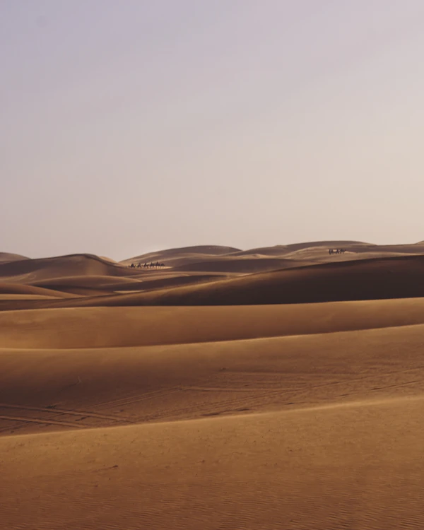 Vast sand dunes of the Sahara desert