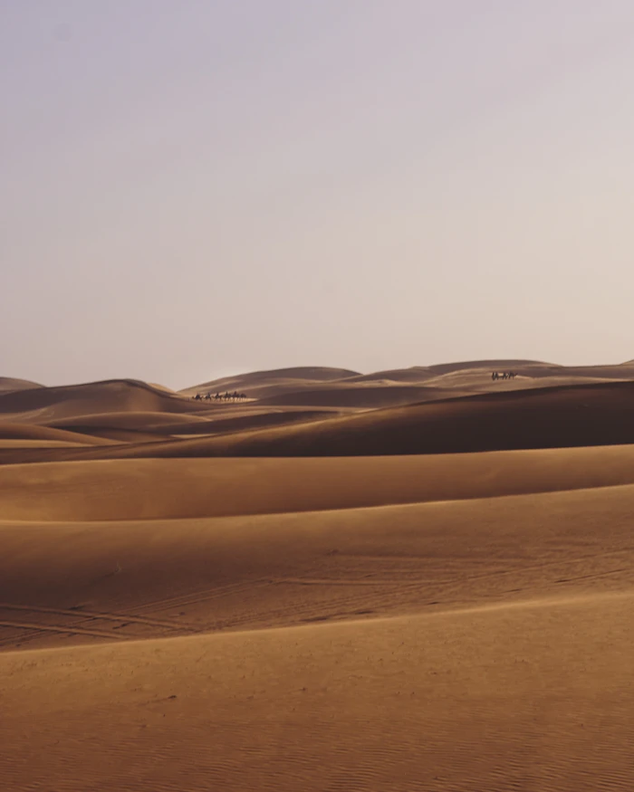 Marrakech — photo 2