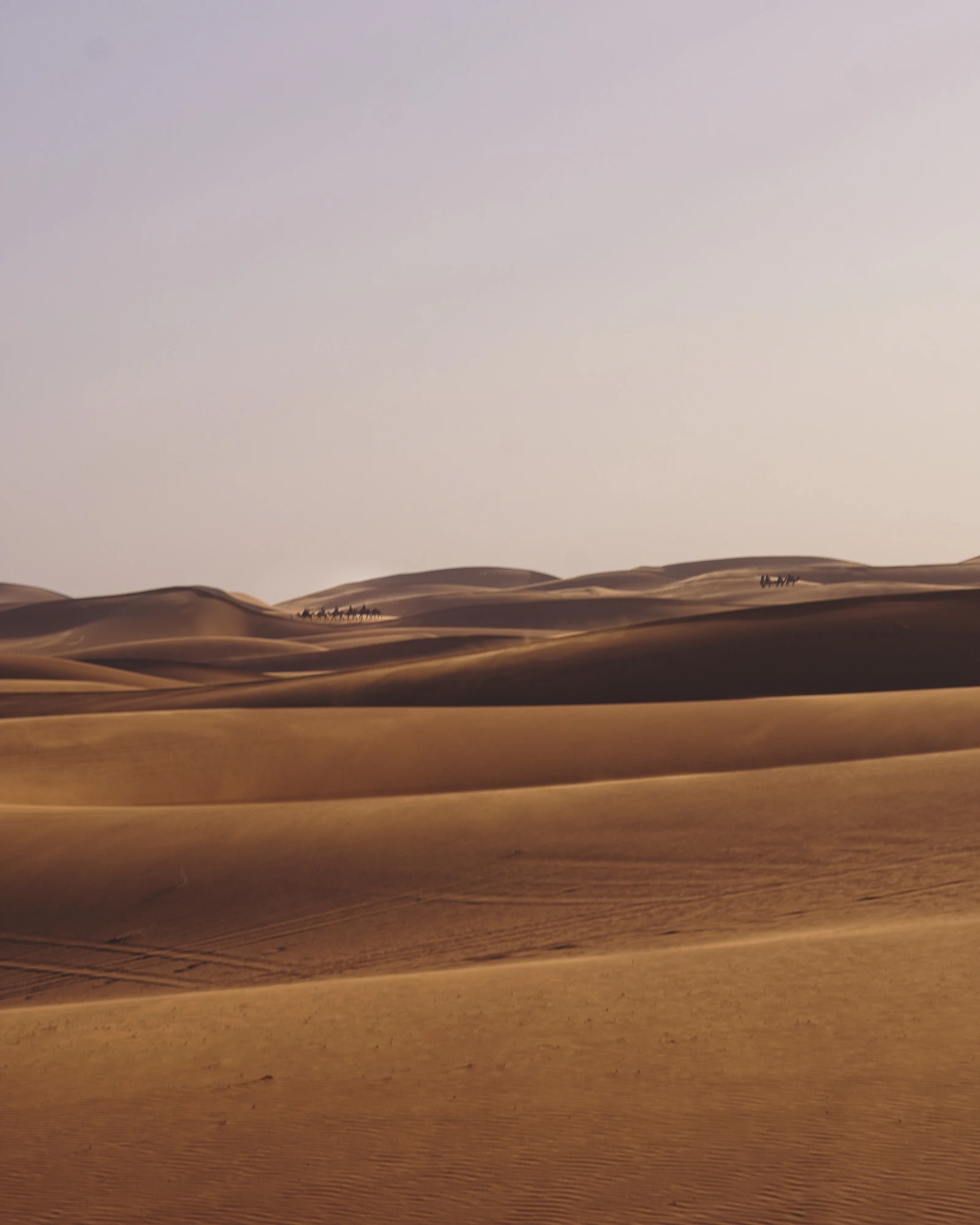Marrakech Sahara dunas desierto