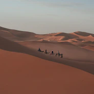 People ride camels in the vast desert.