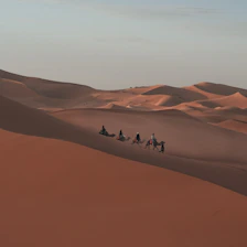 People ride camels in the vast desert.