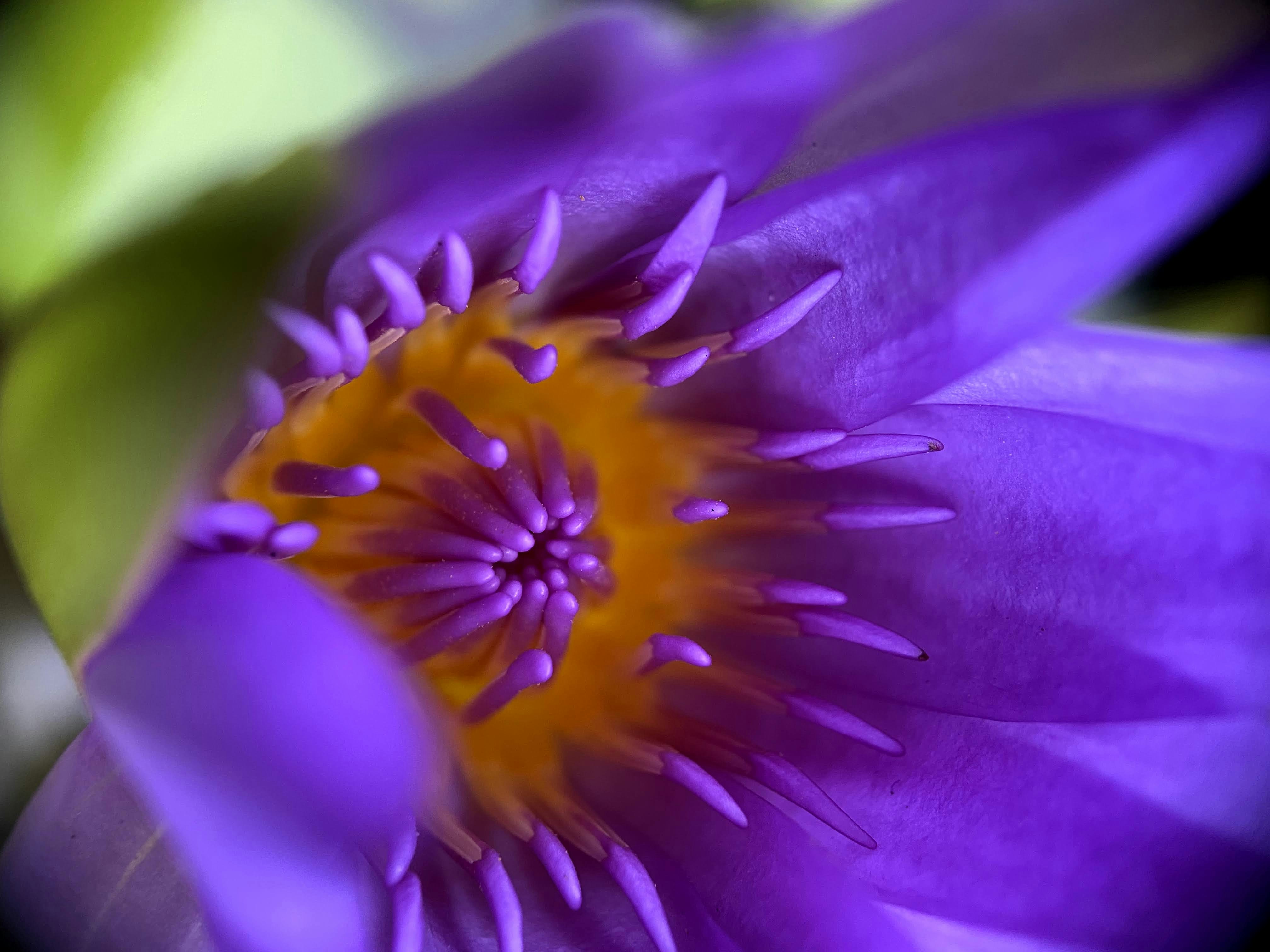 Photo by thoeunratana