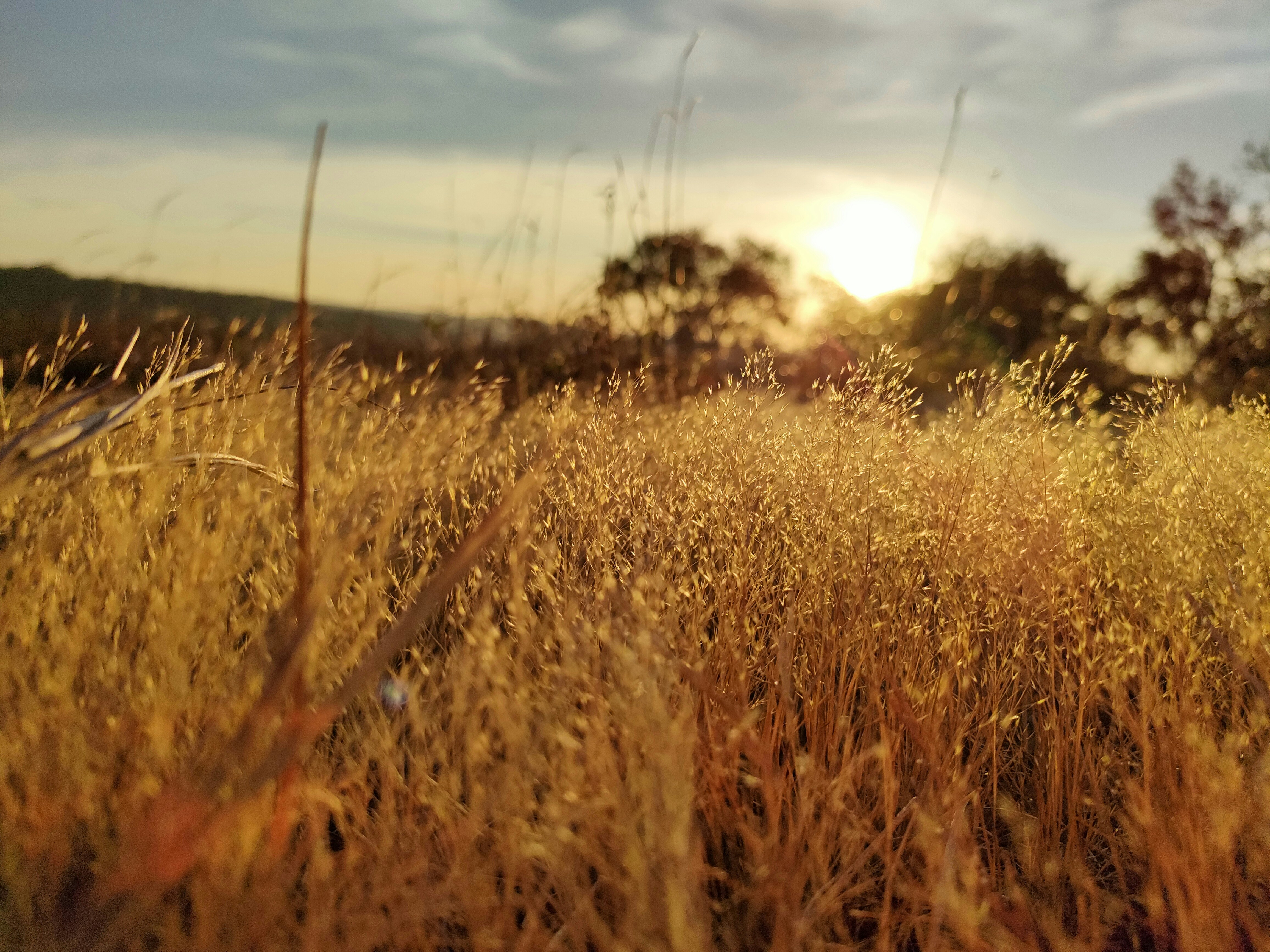 Photo by thoeunratana