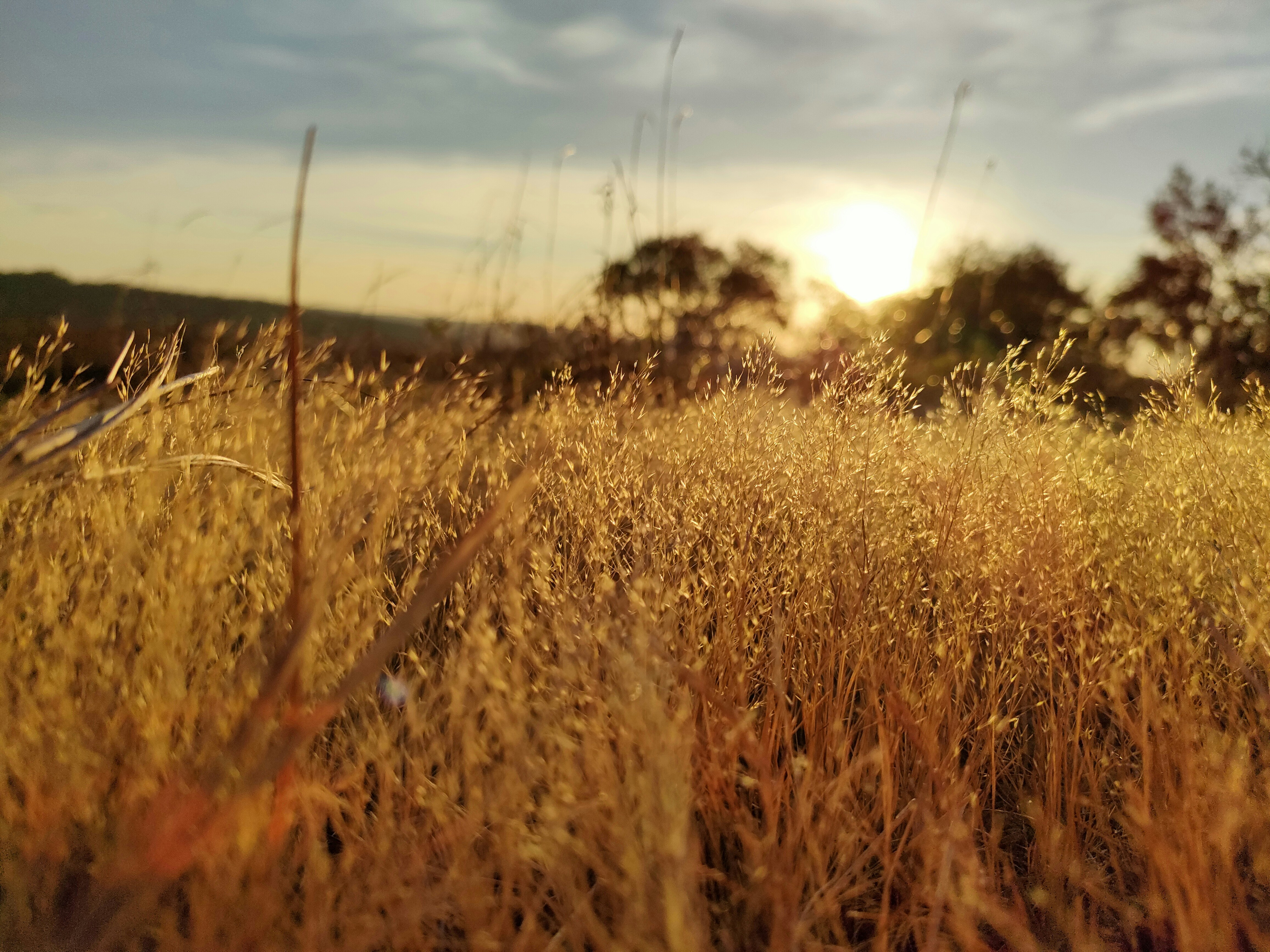 Photo by thoeunratana