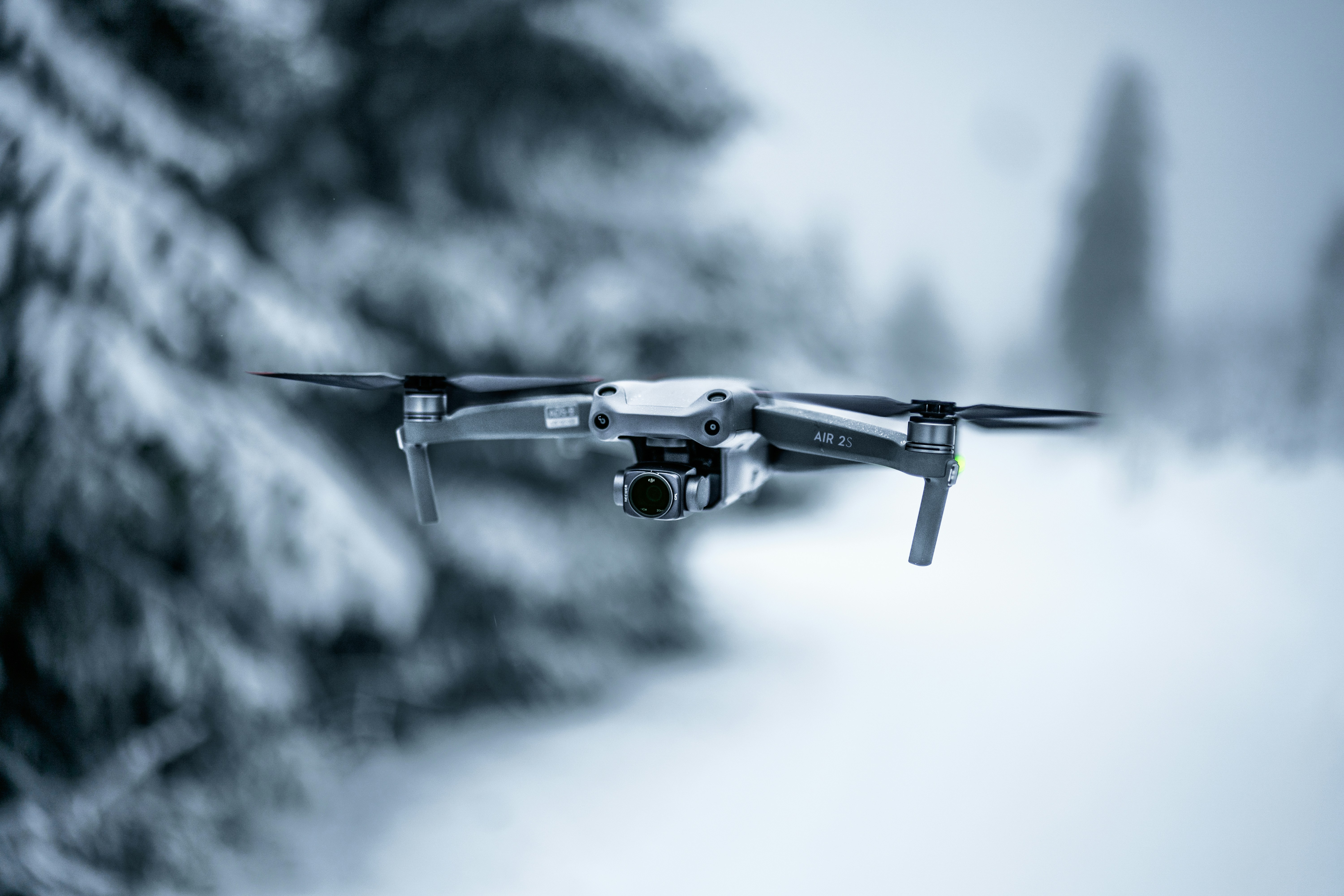 Photo by leandrarieger