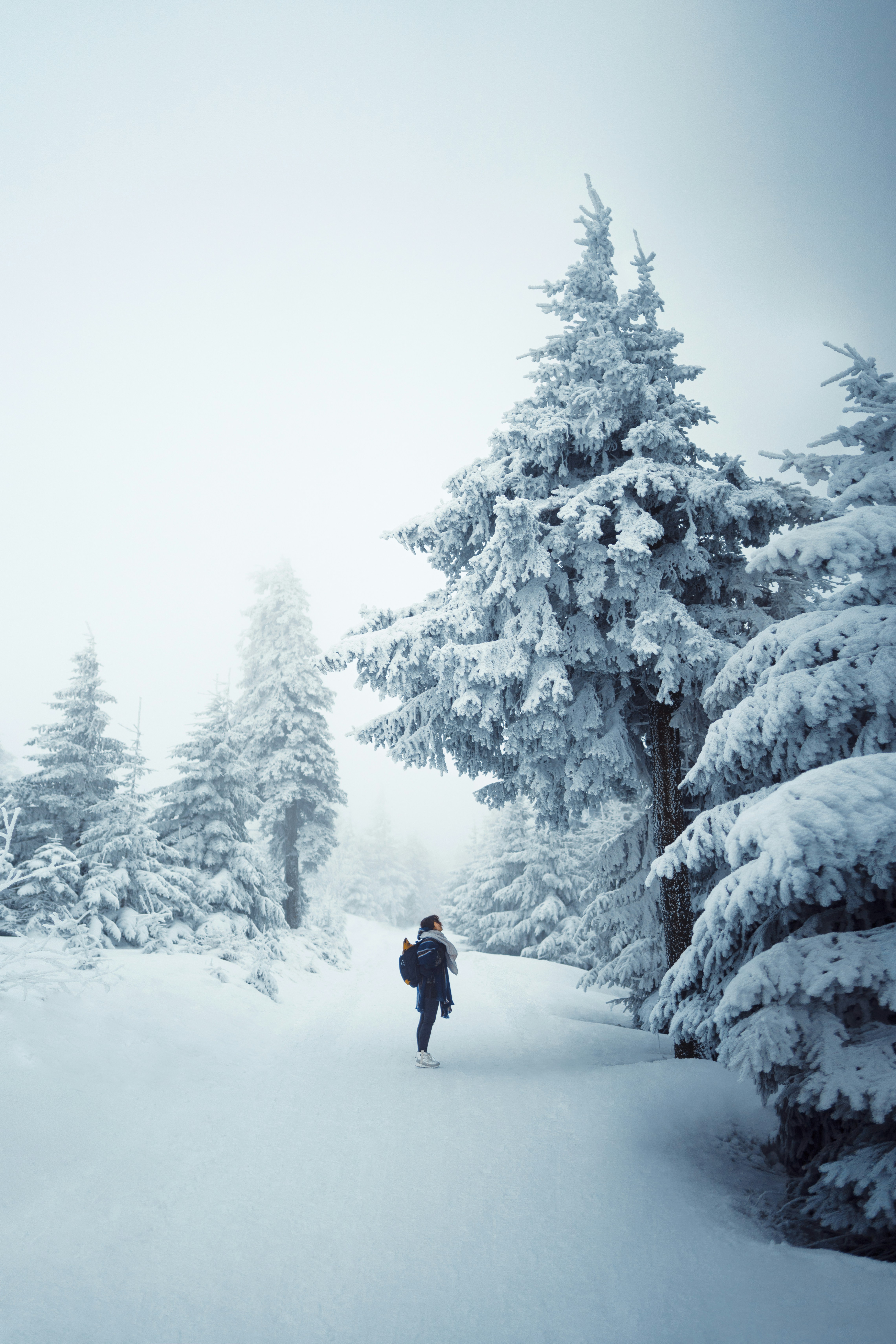 Photo by leandrarieger