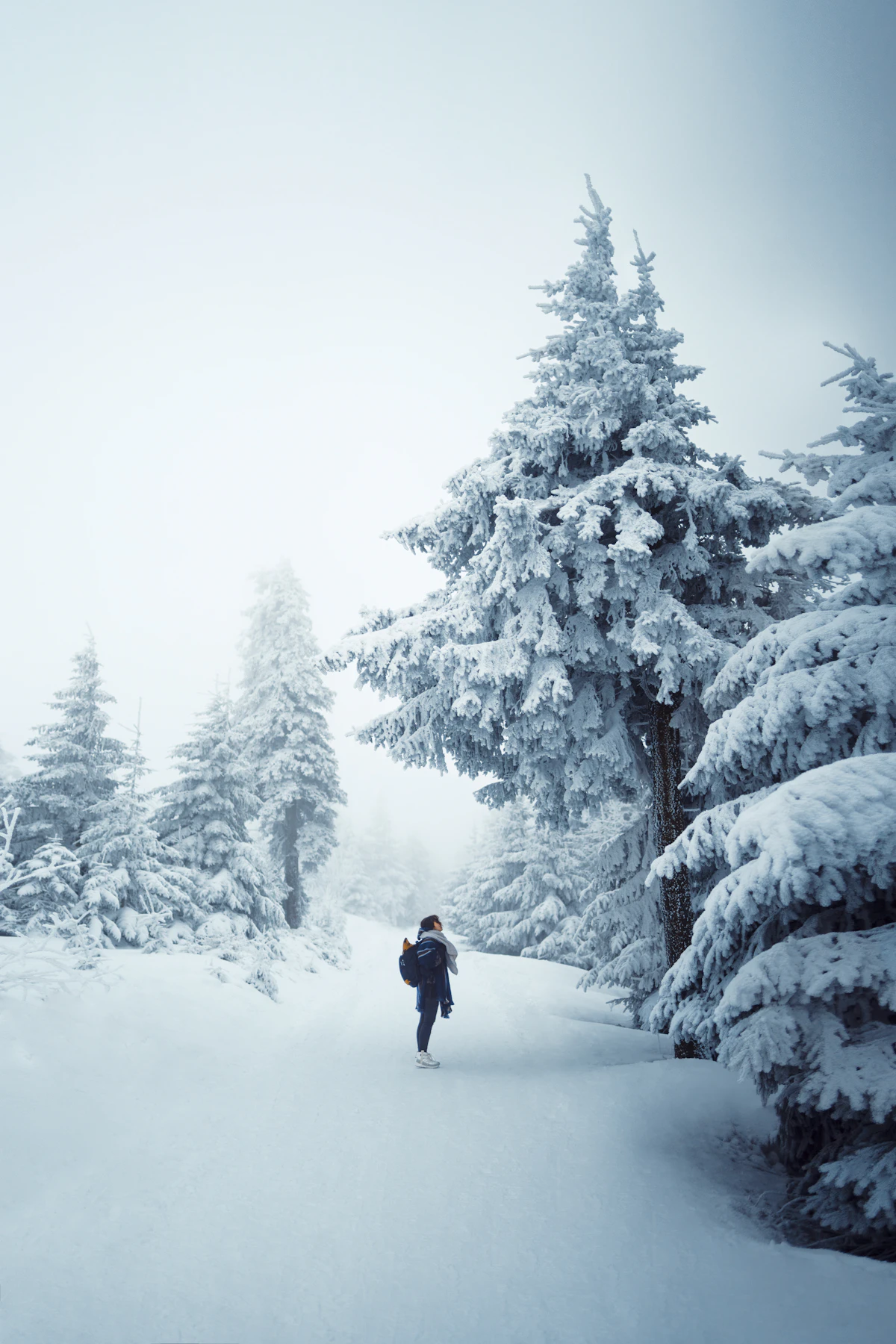 Läufer auf einem verschneiten Waldweg
