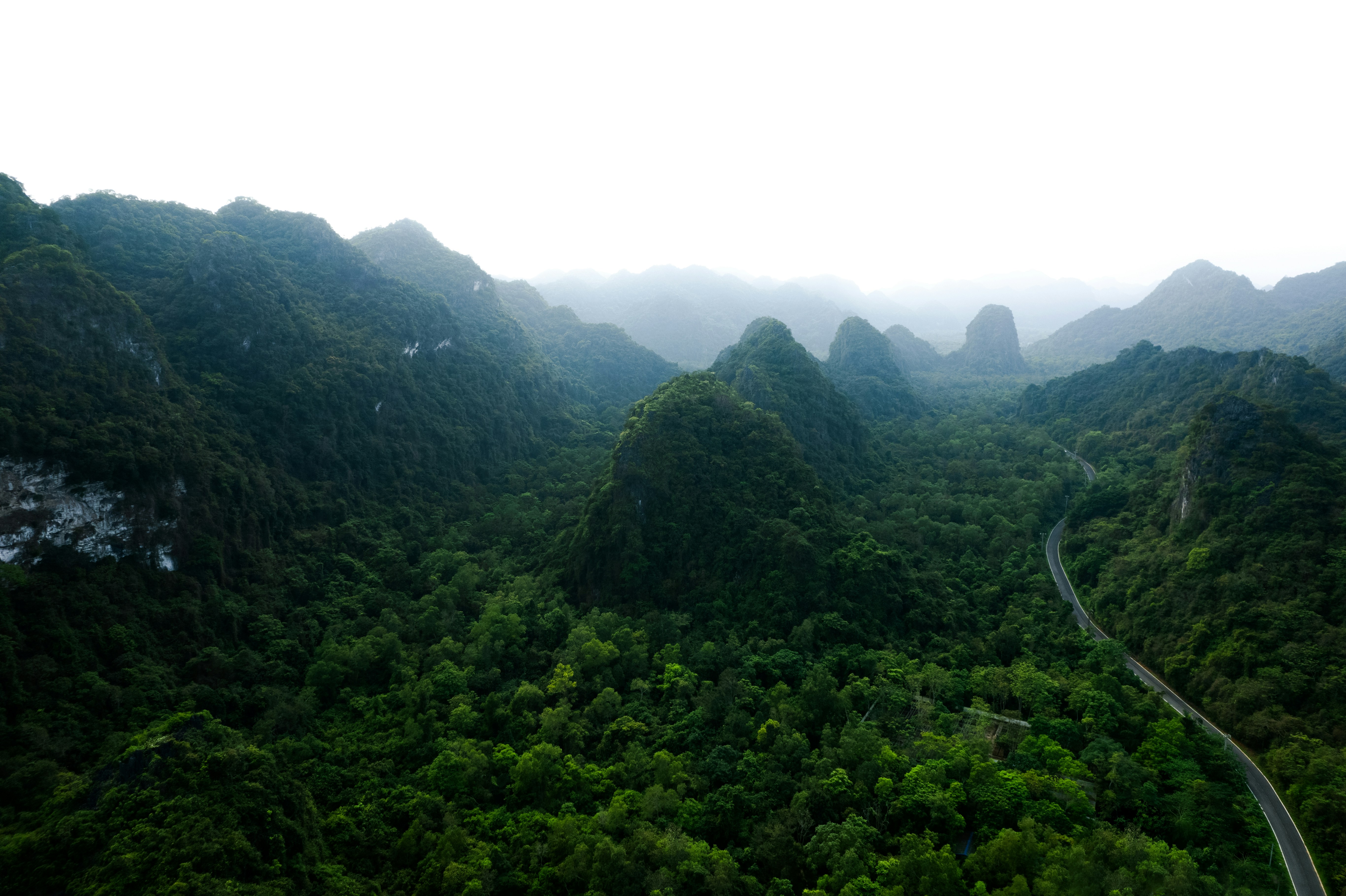 Photo by leandrarieger