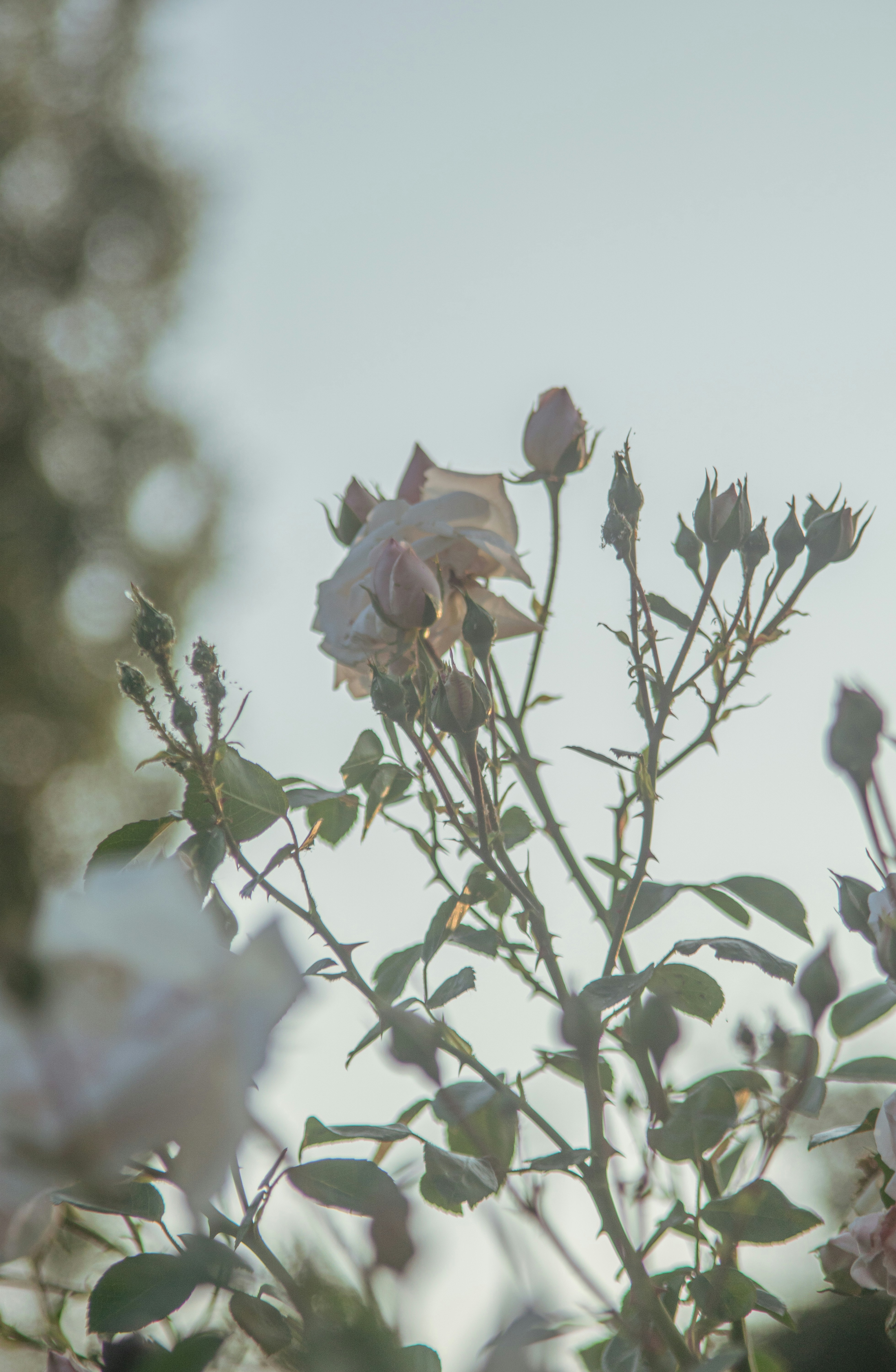 Photo by maks_d