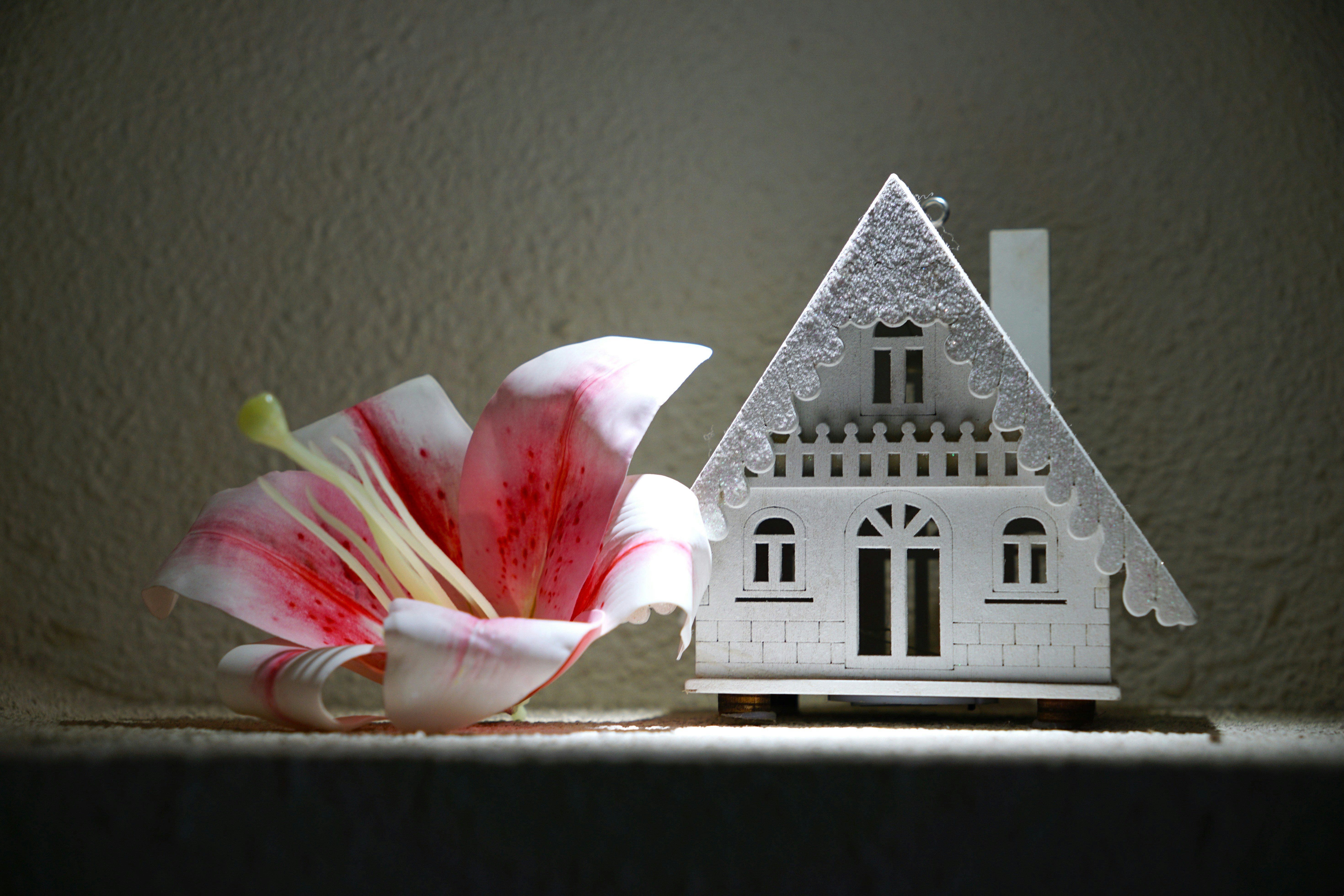 Flower and house sit together in soft lighting.