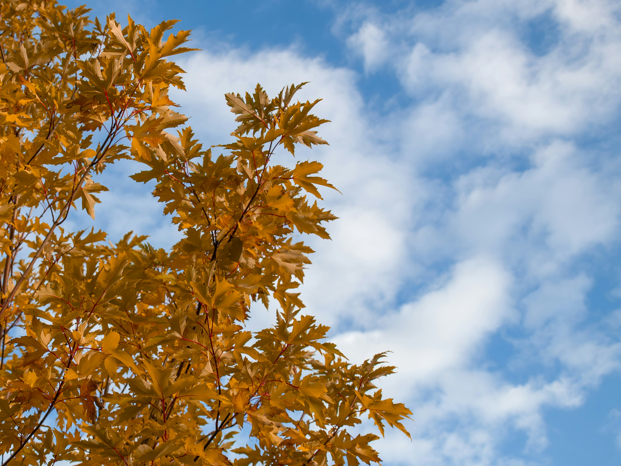 Photo by themrbranoo