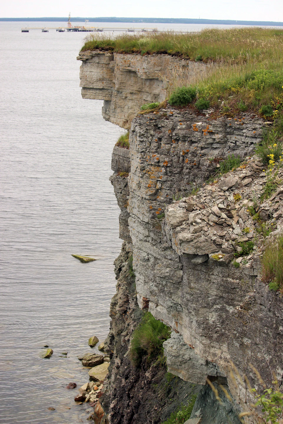 Rocky cliff face with gray surface and green vegetation, overlooking a distant body of water