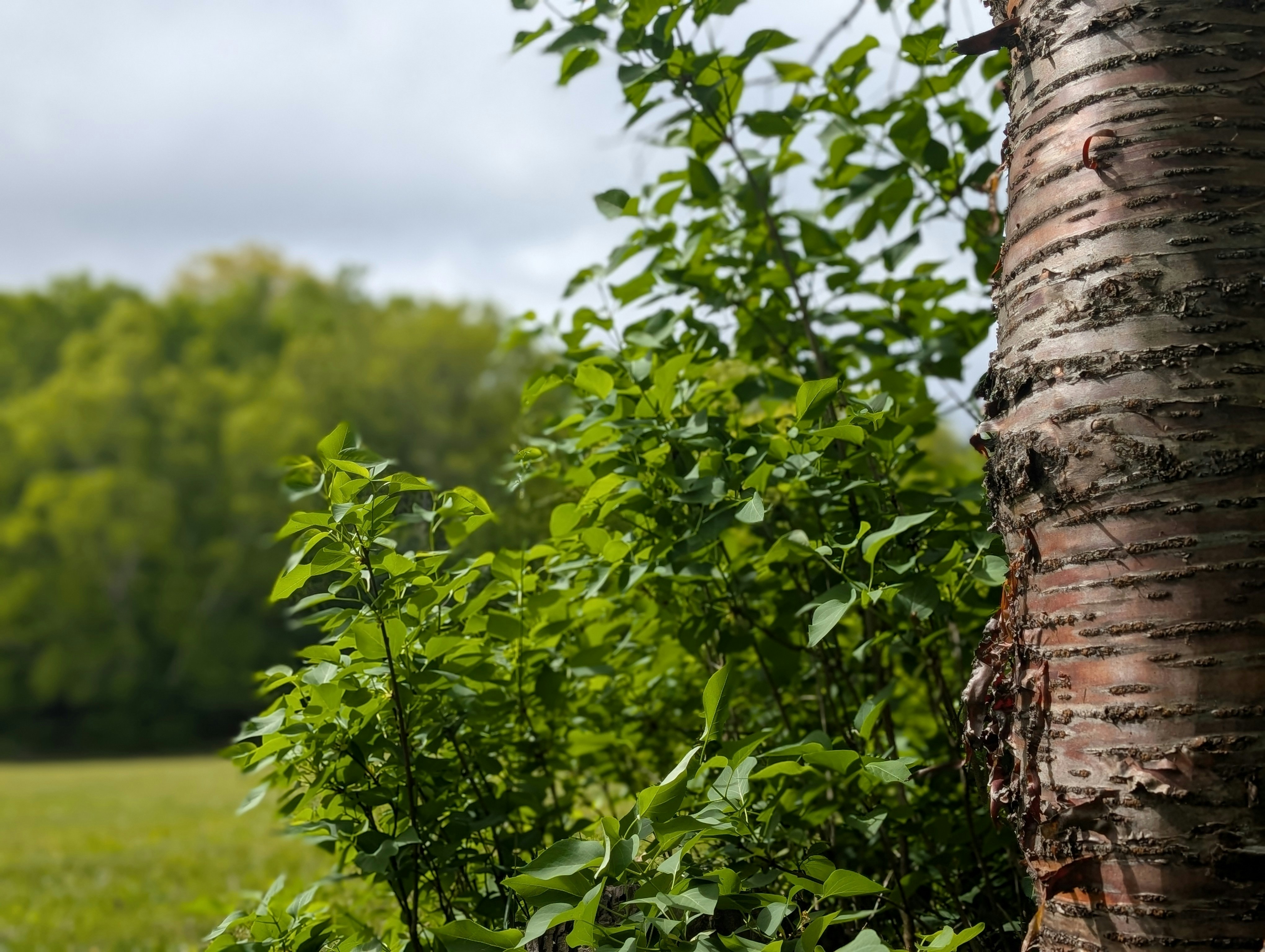 Photo by sullyleblanc