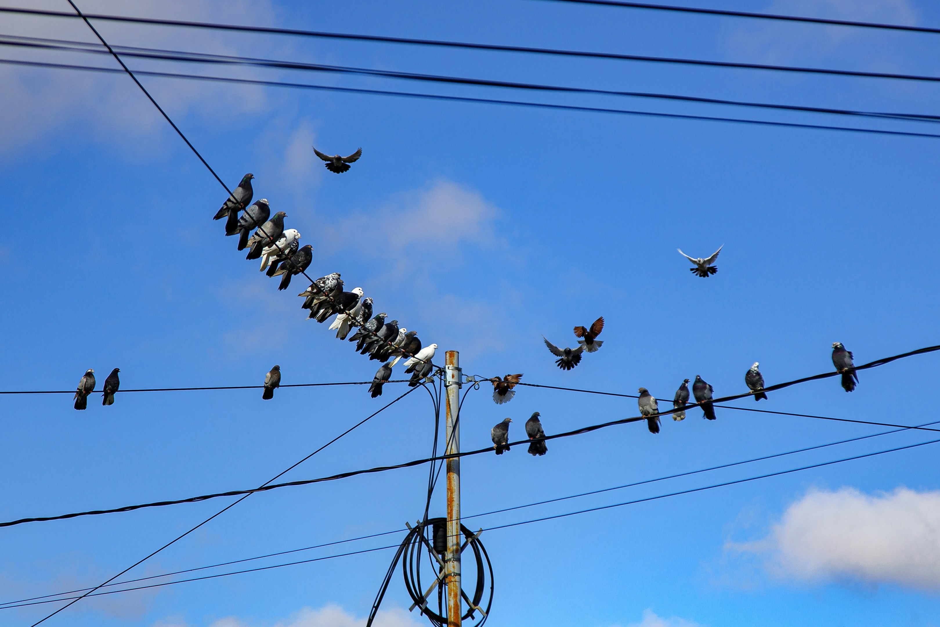 Photo by malygos6000