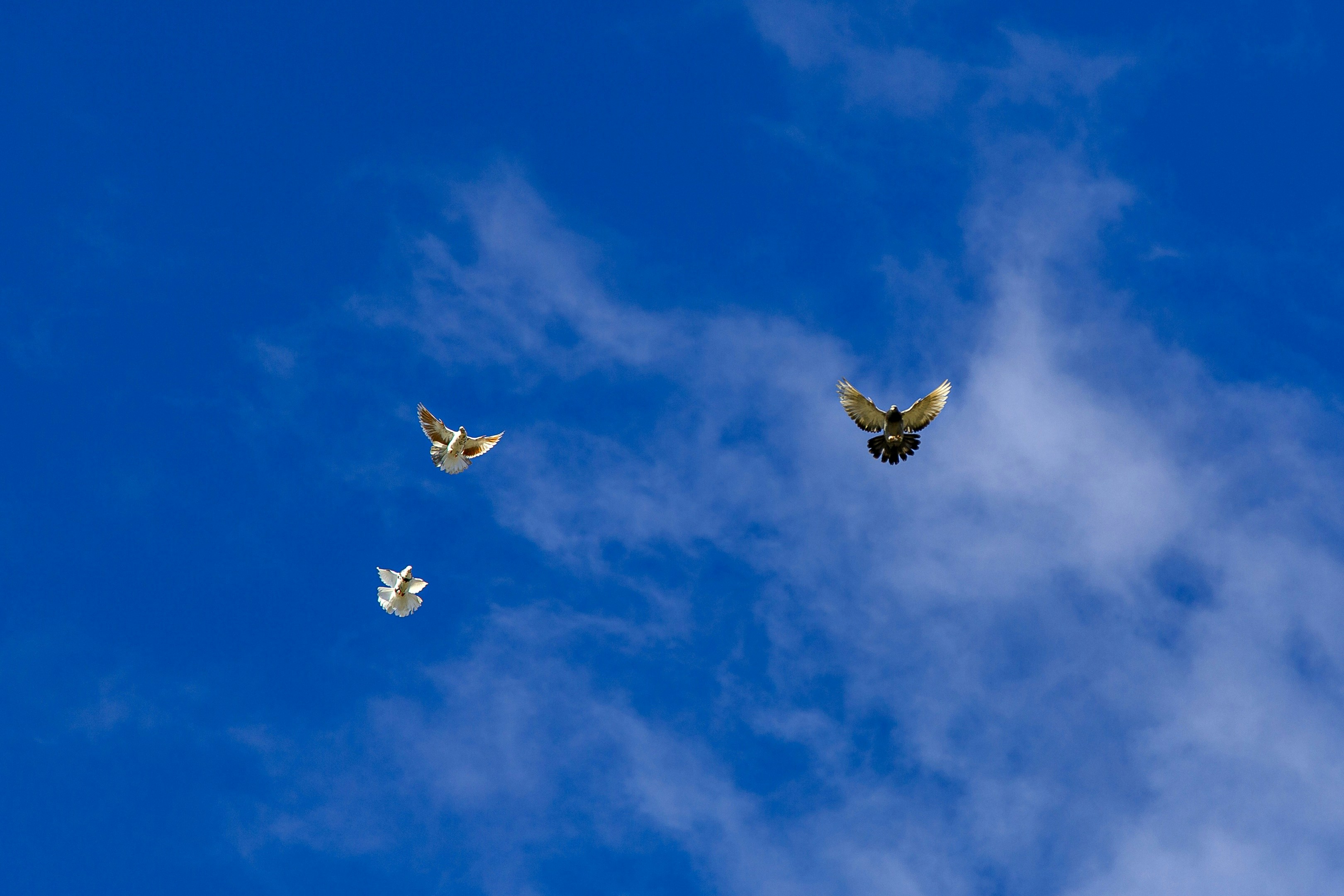 Photo by malygos6000