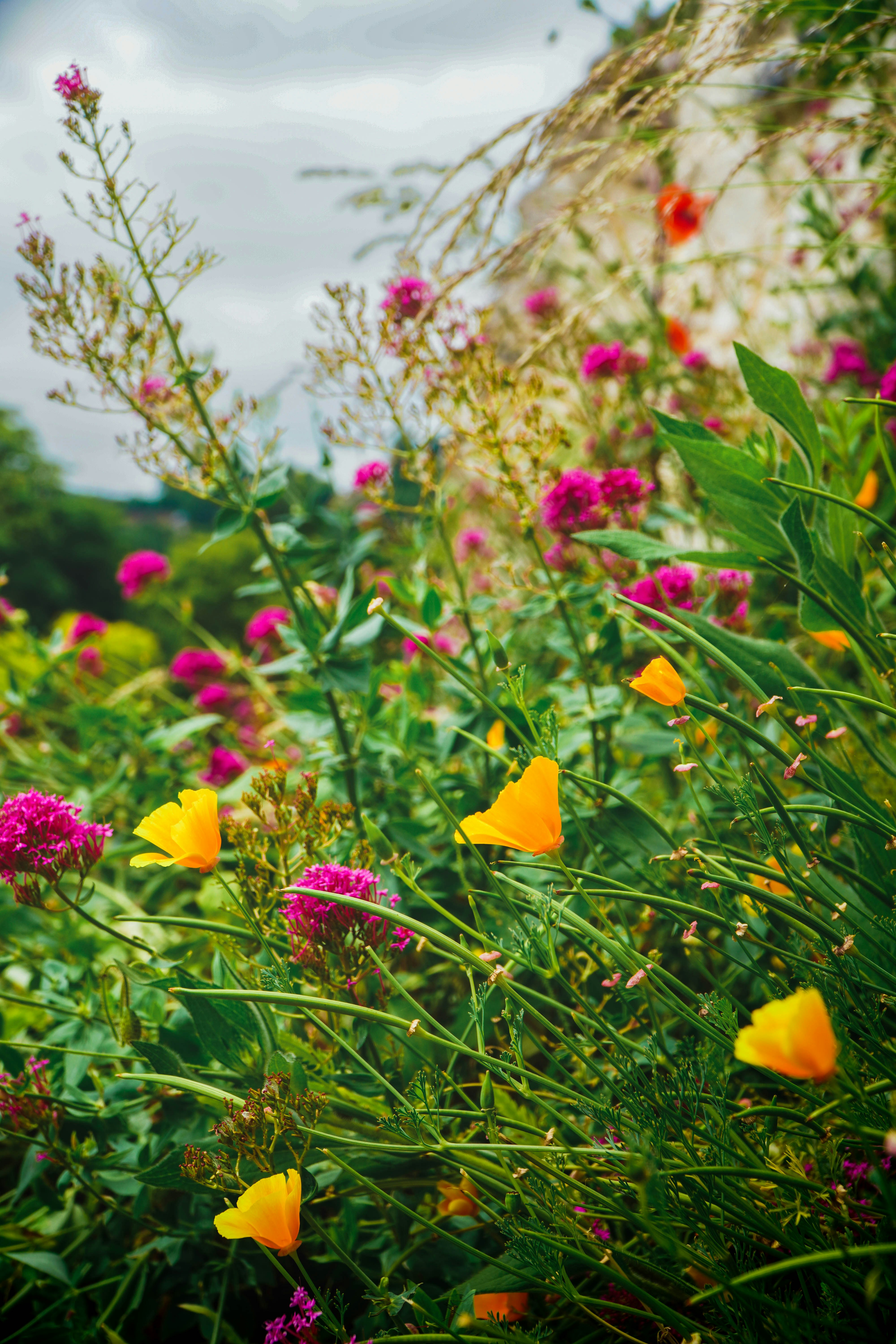 Photo by martinemussies