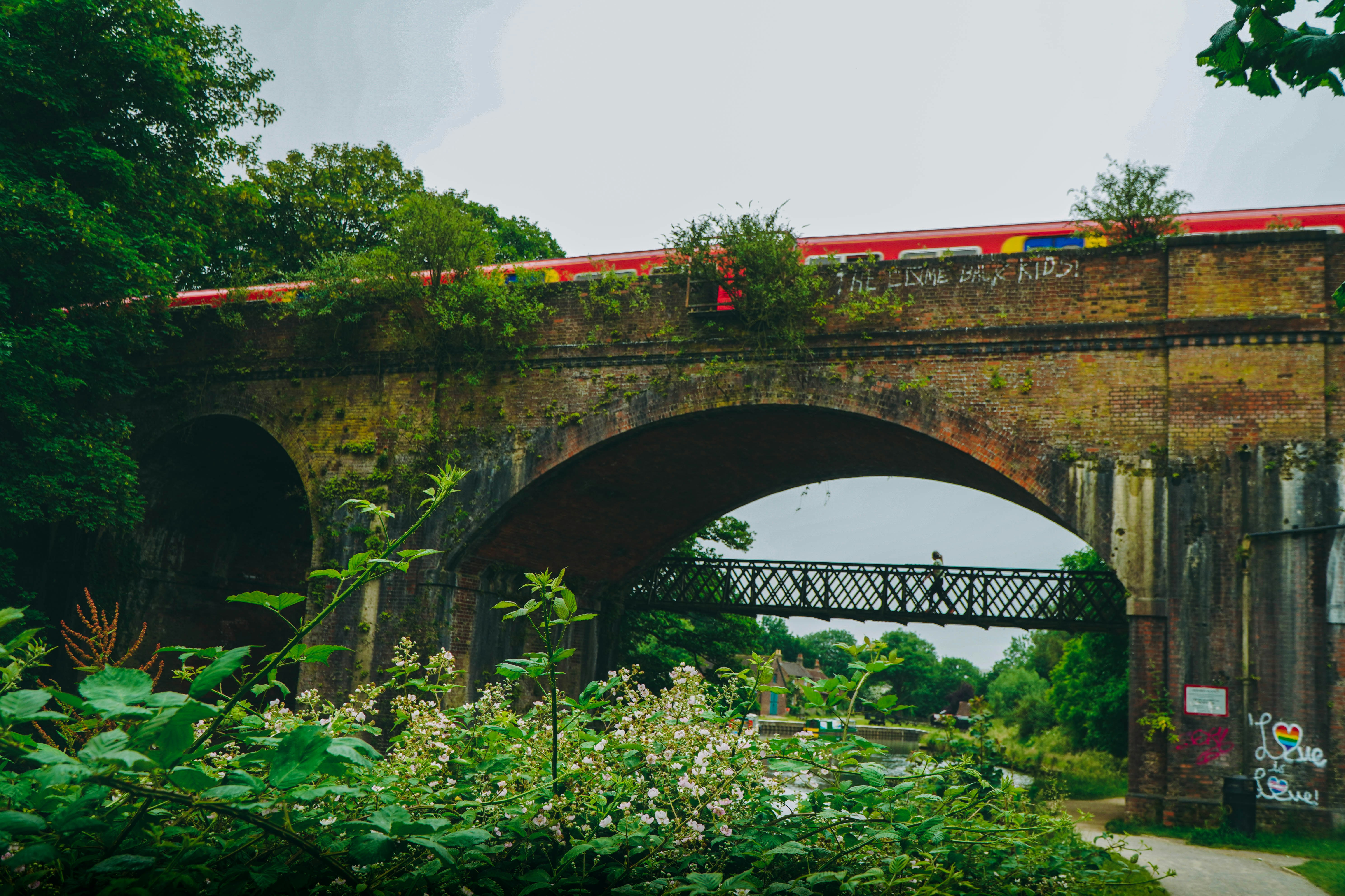 Photo by martinemussies