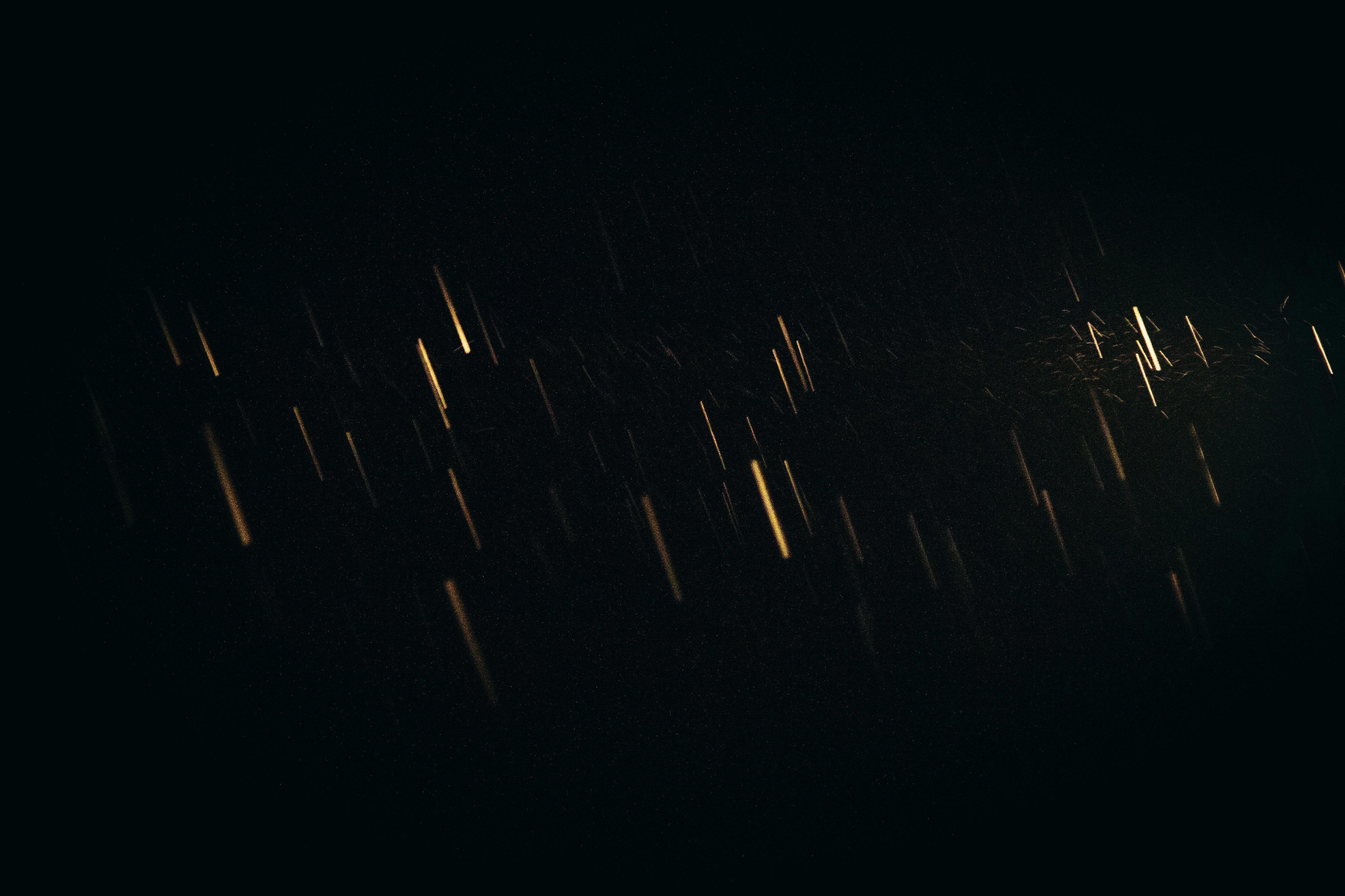 Photo by mikejerskine