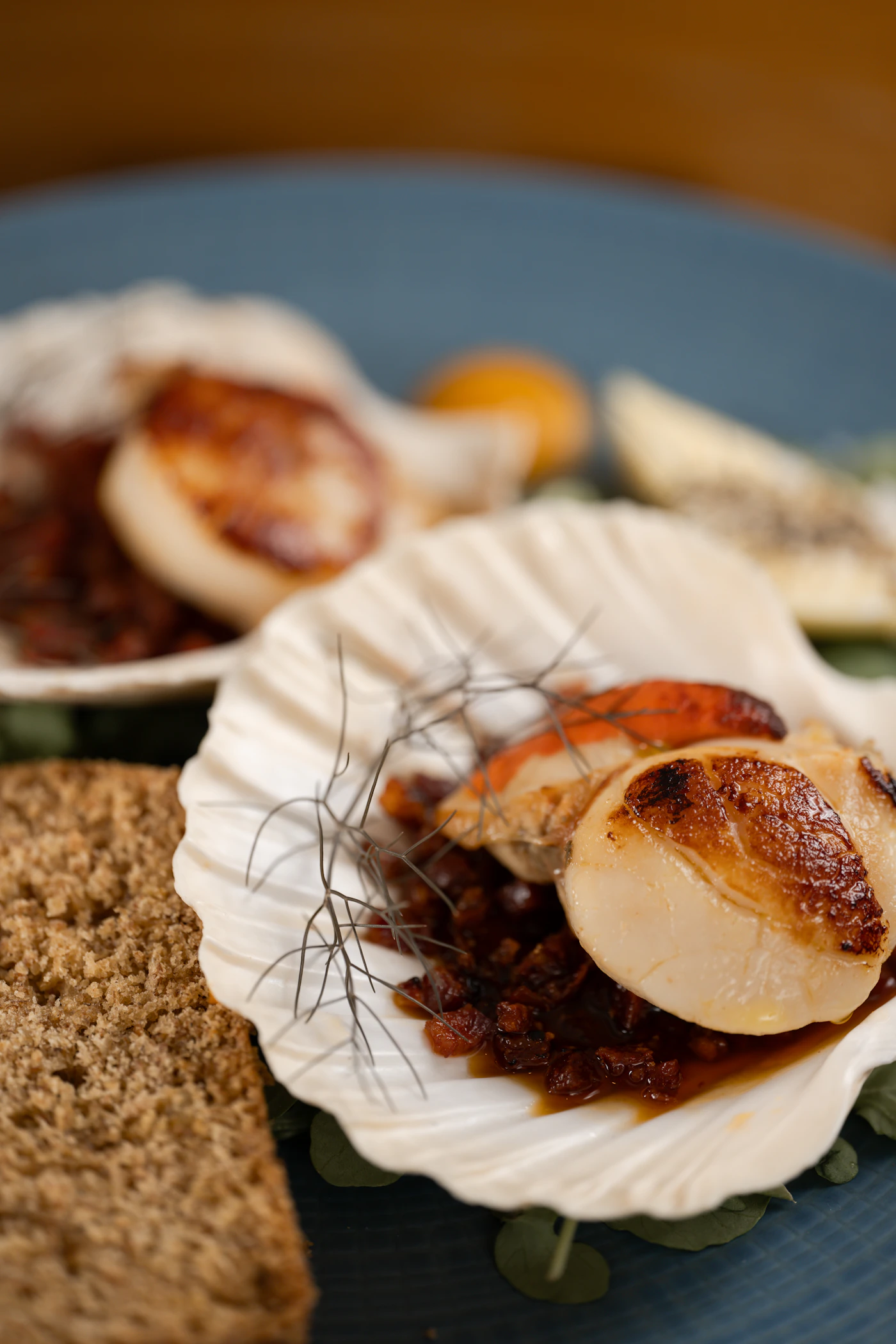 Seared scallops presented on a shell