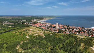 A city overlooks the sea and forest.