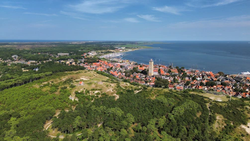 A city overlooks the sea and forest.