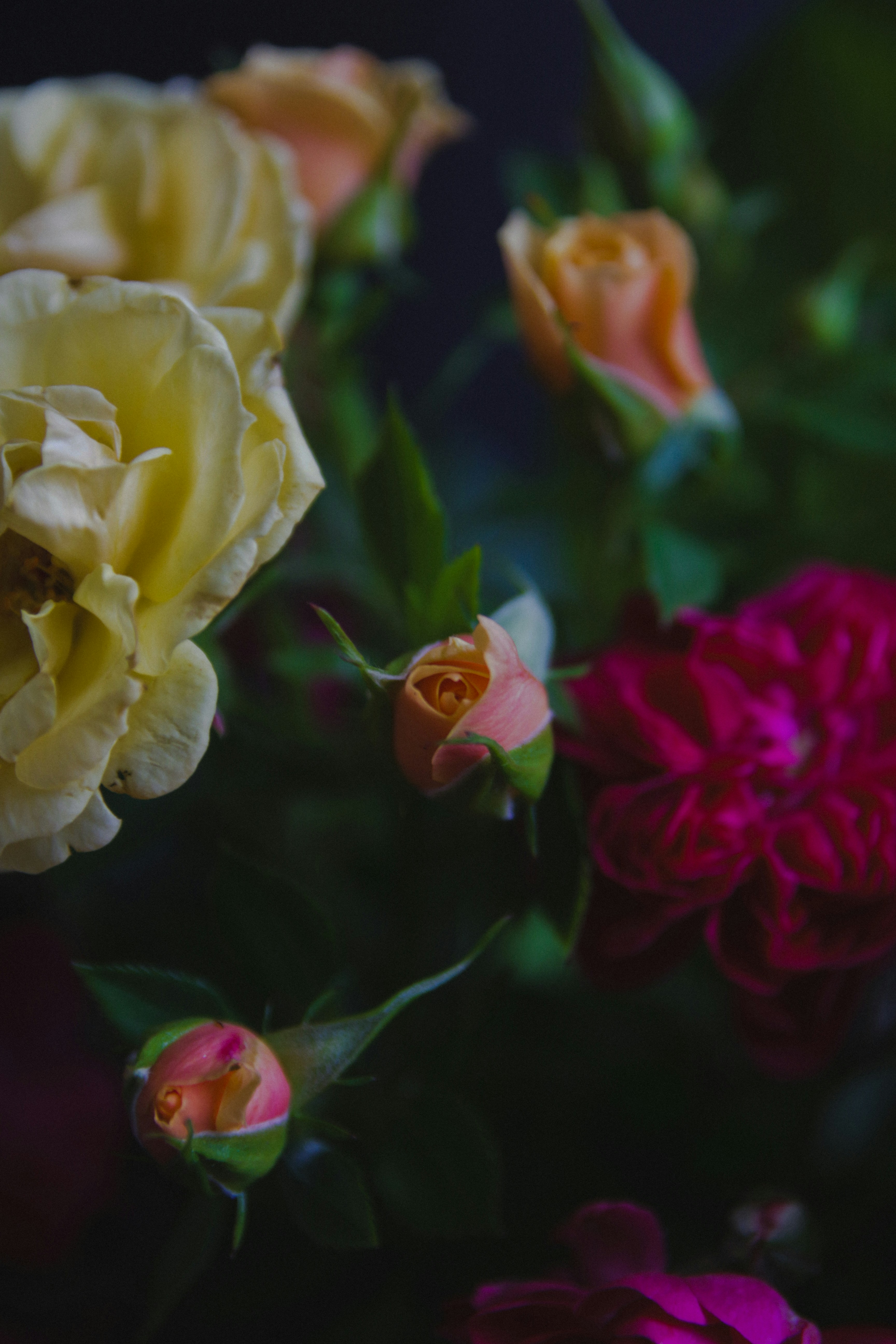 Photo by suleymanovae