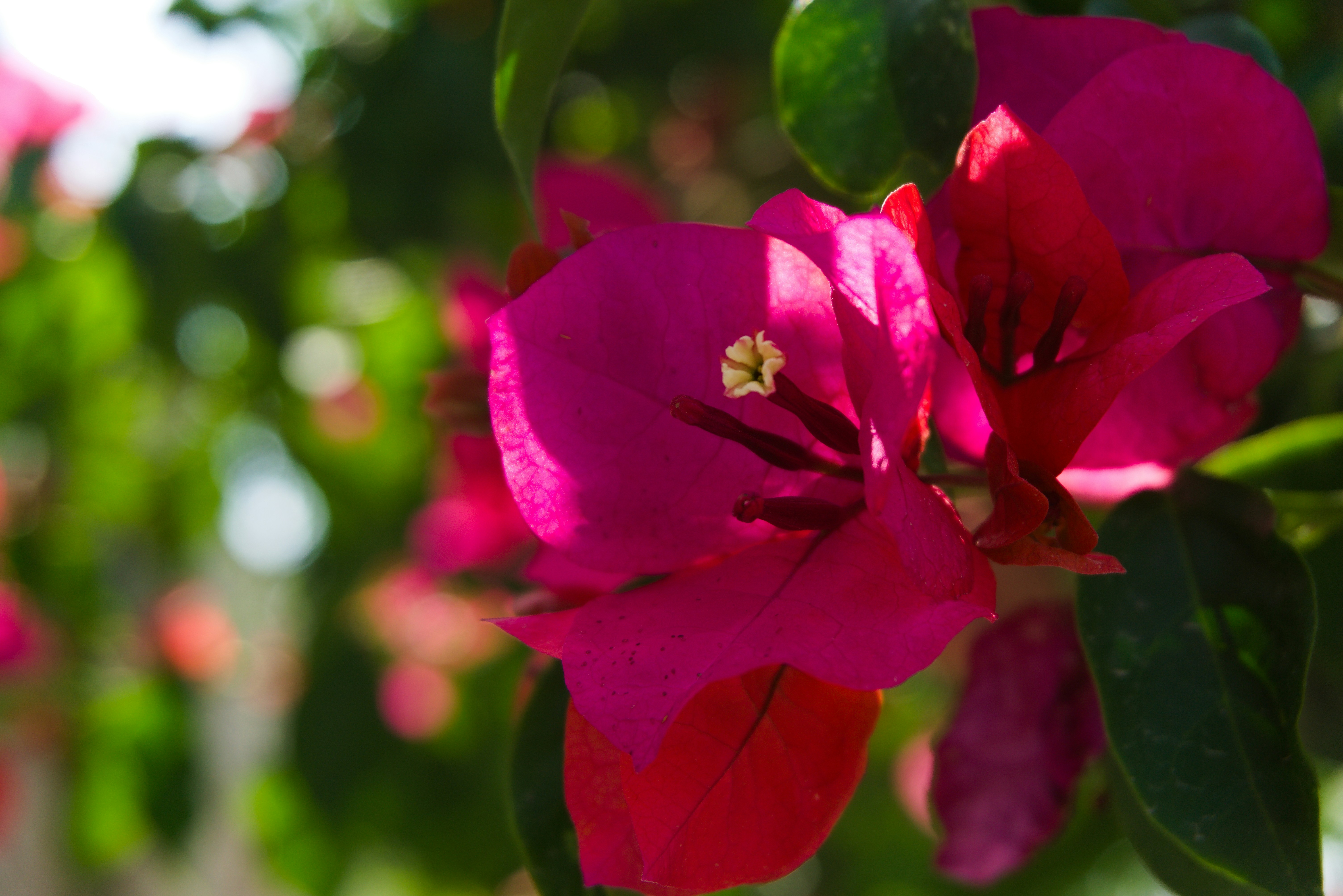 Photo by erick_santiagoa