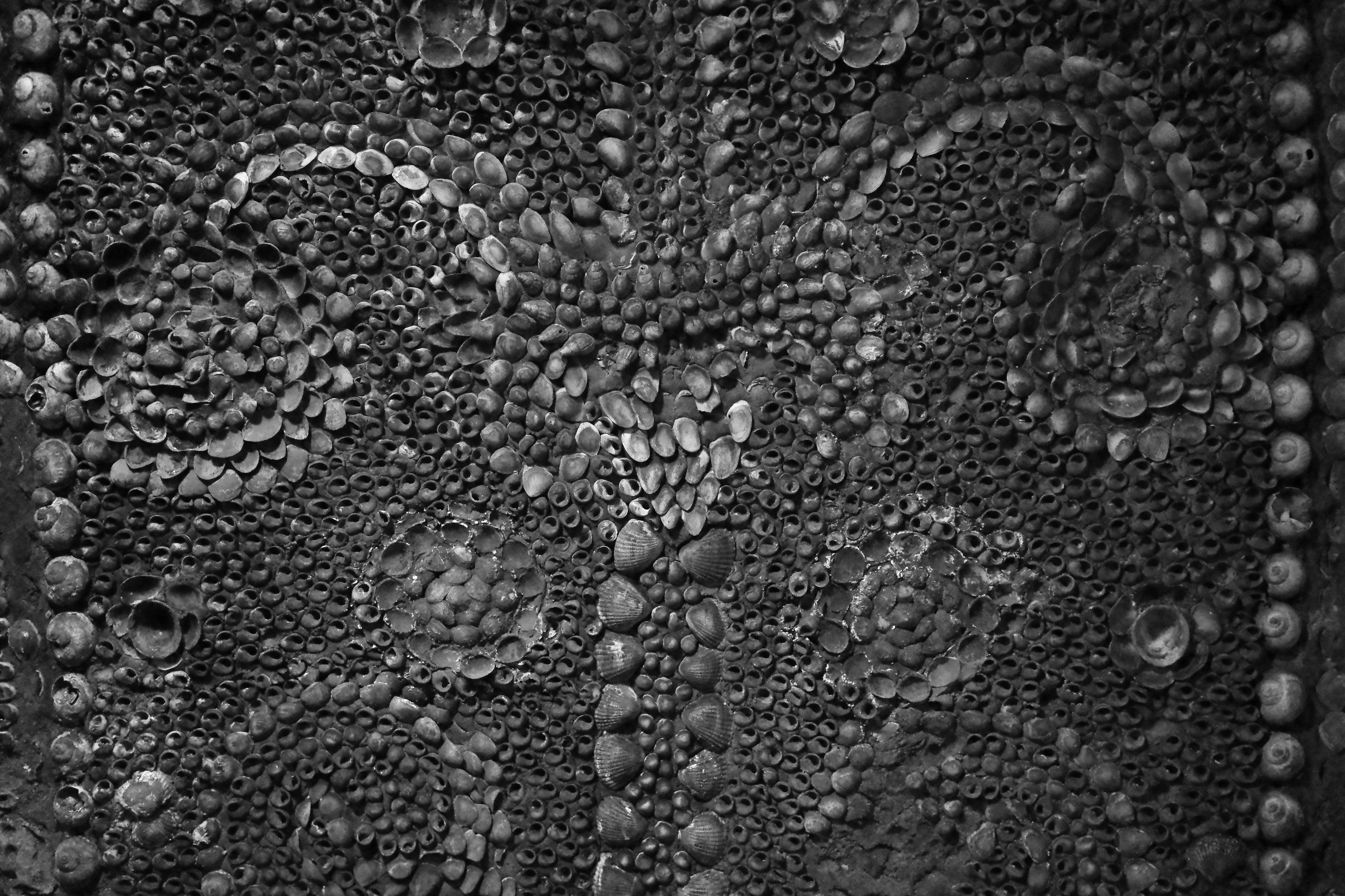 Photo by tomasrobertson