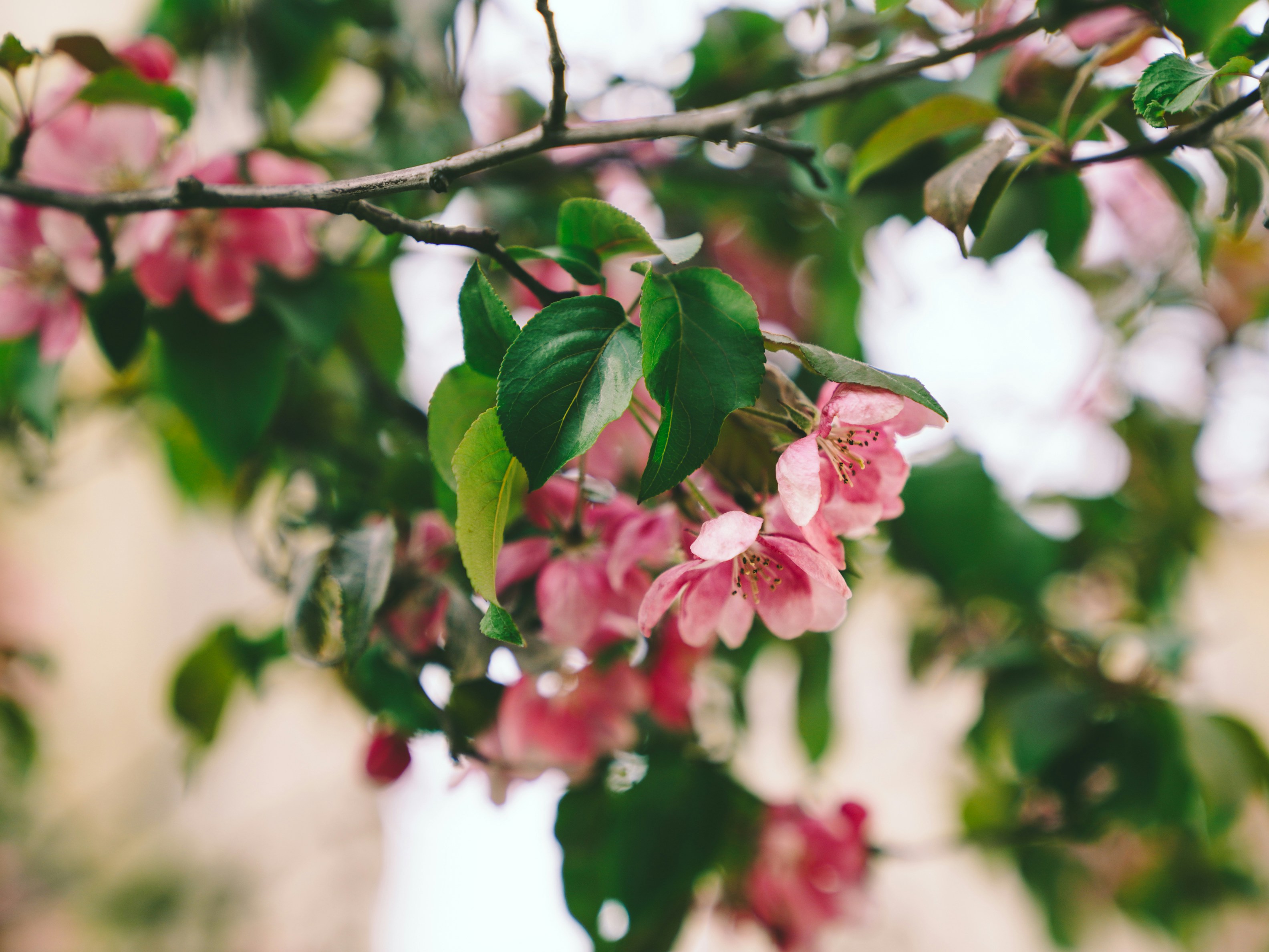 Photo by mineral_of_demon